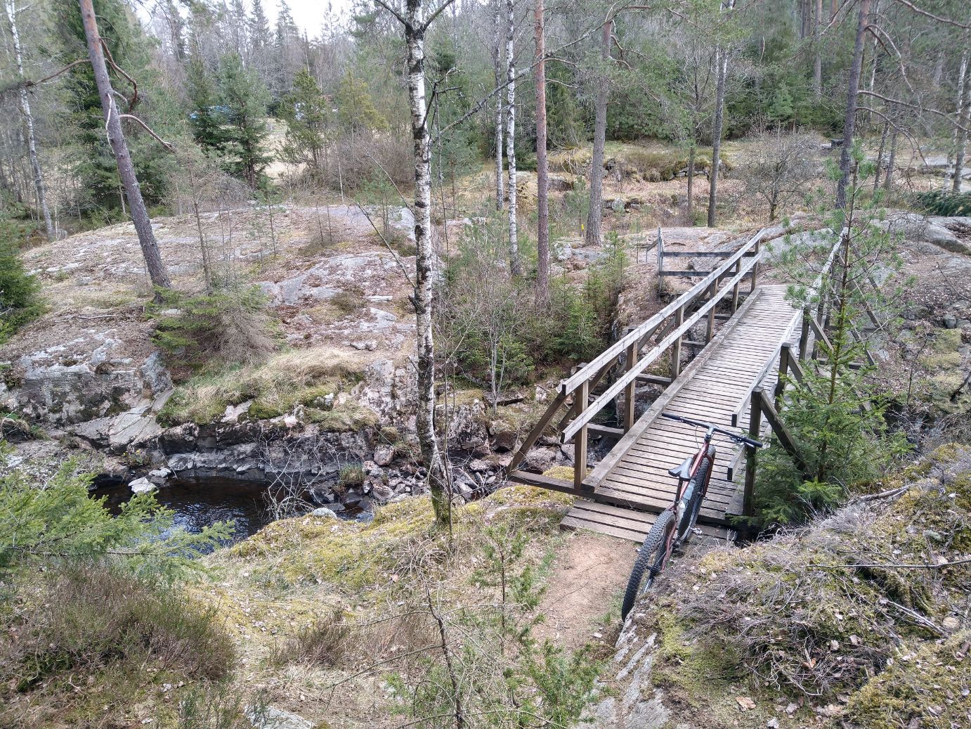 IMG_20200425_121741190_HDR.jpg