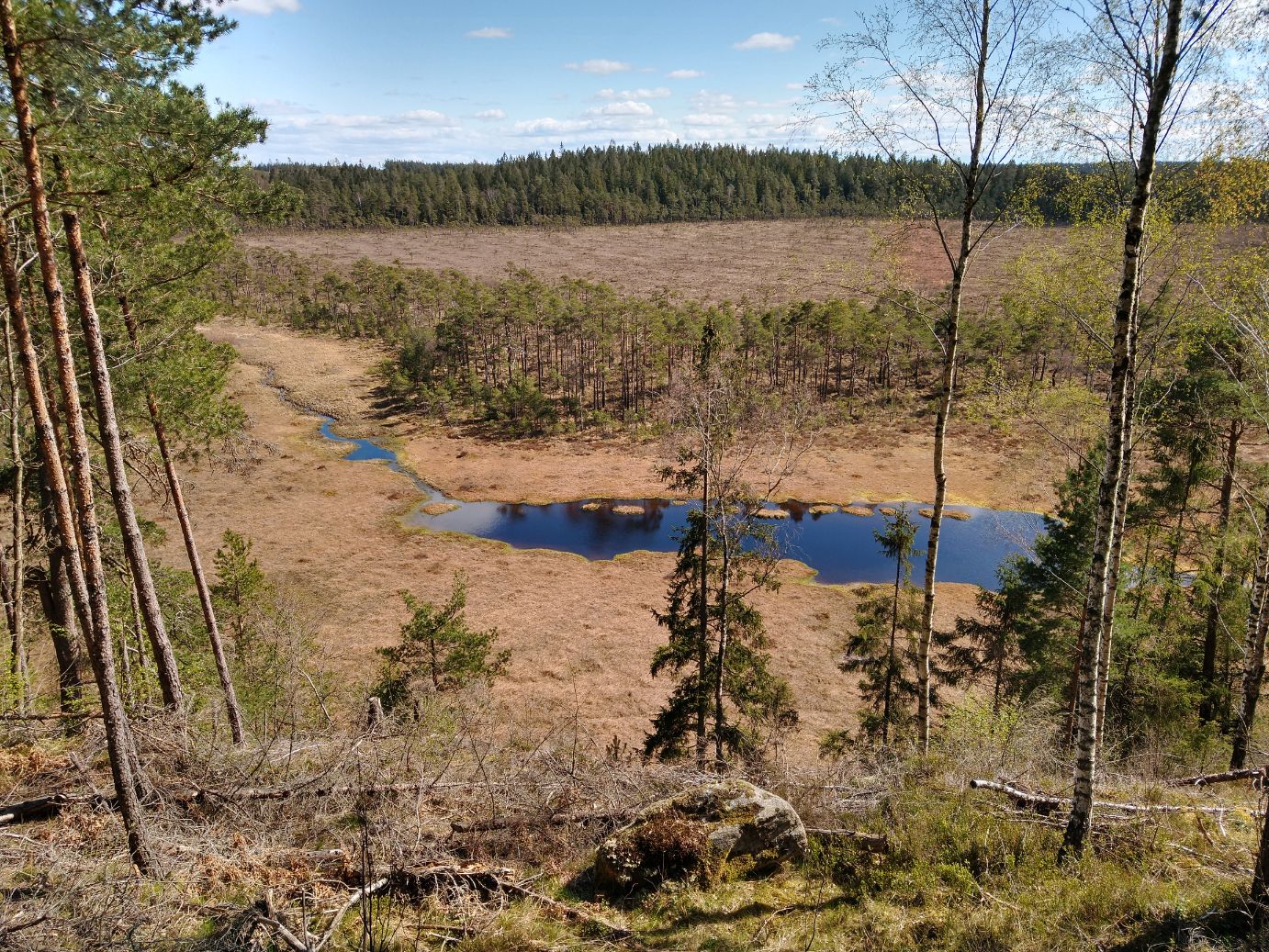 IMG_20200425_142728514_HDR.jpg