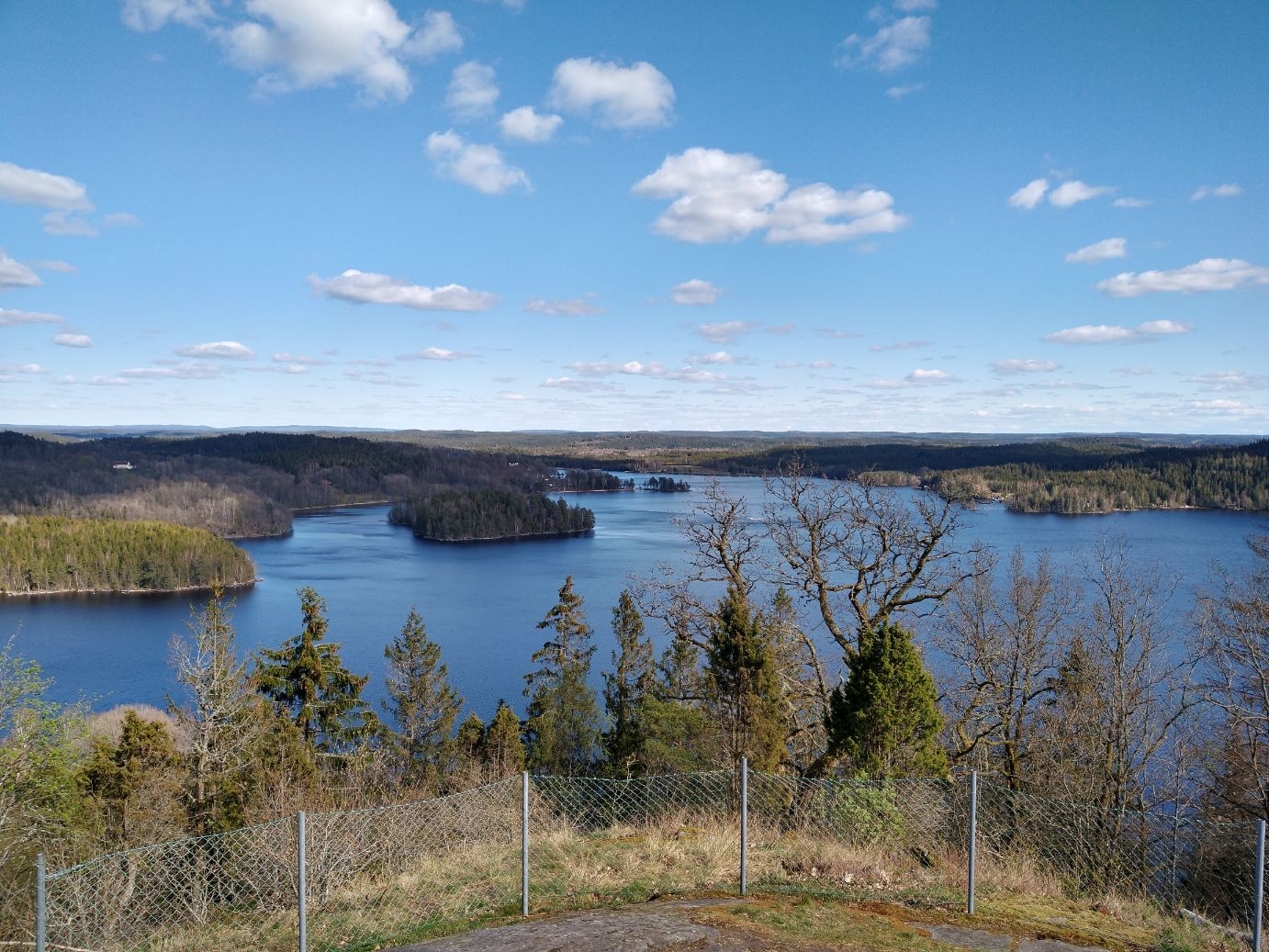 IMG_20200425_155823707_HDR.jpg