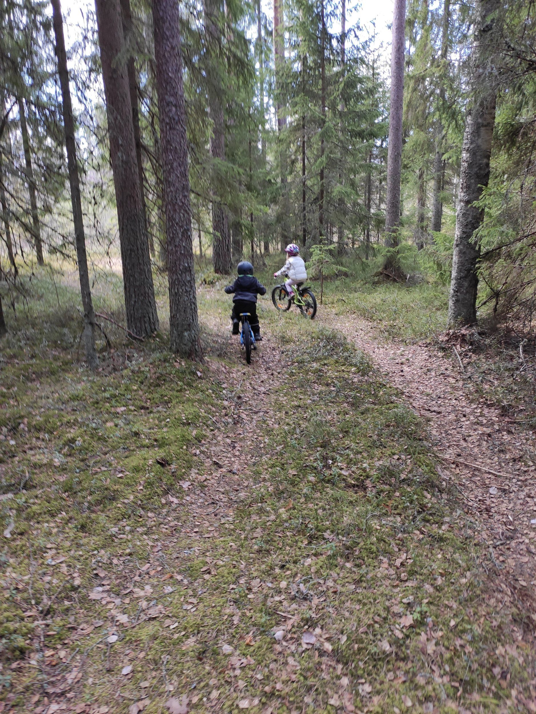 IMG_20200426_114700.jpg
