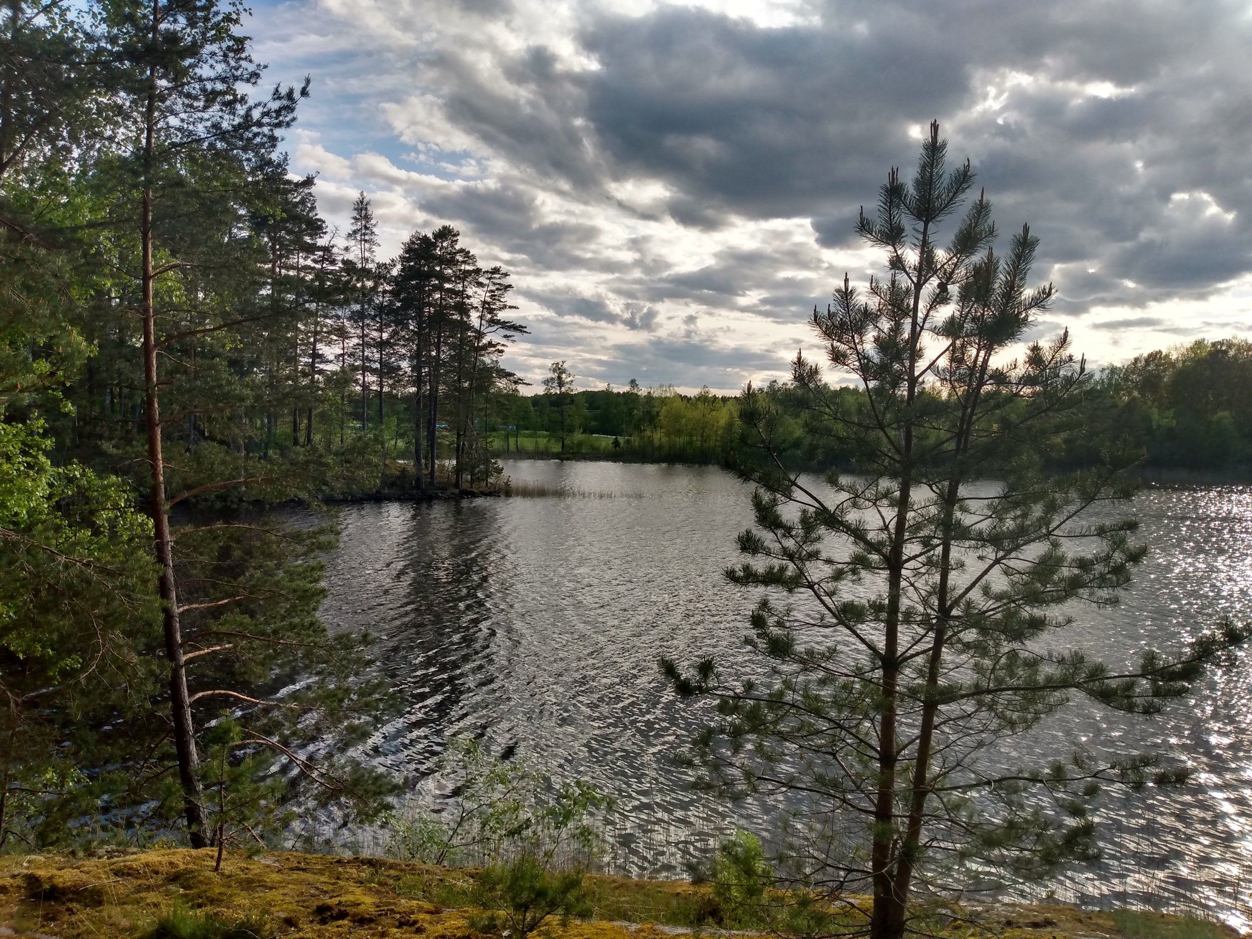 IMG_20200528_183354169_HDR.jpg