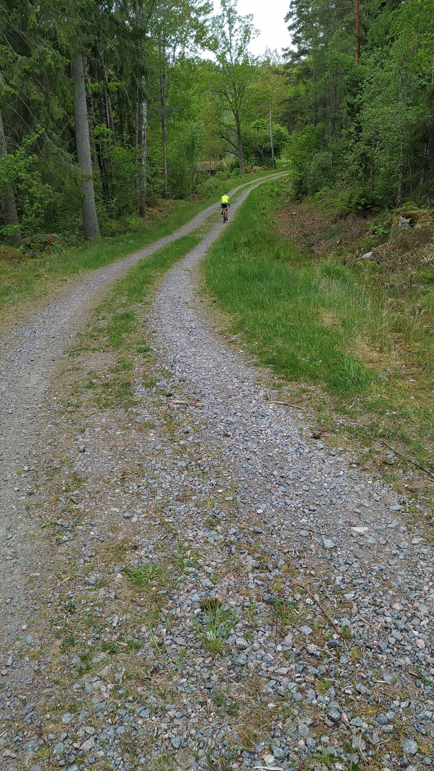 IMG_20200530_120516.jpg