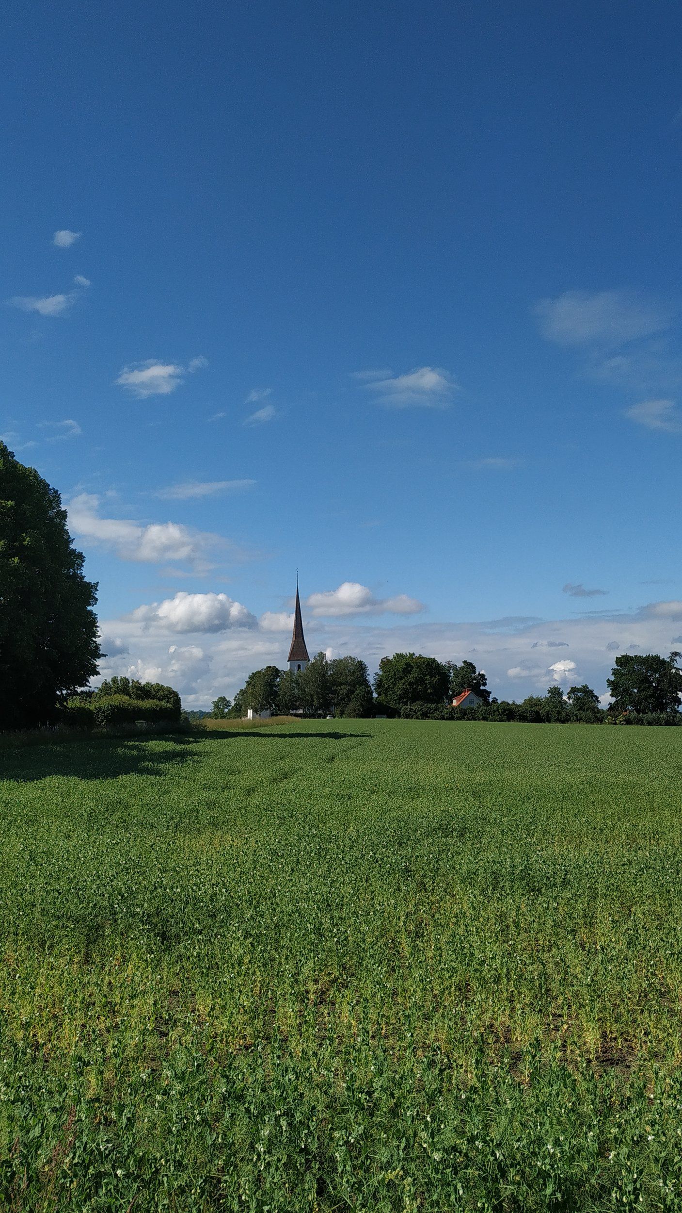 IMG_20200617_163535.jpg
