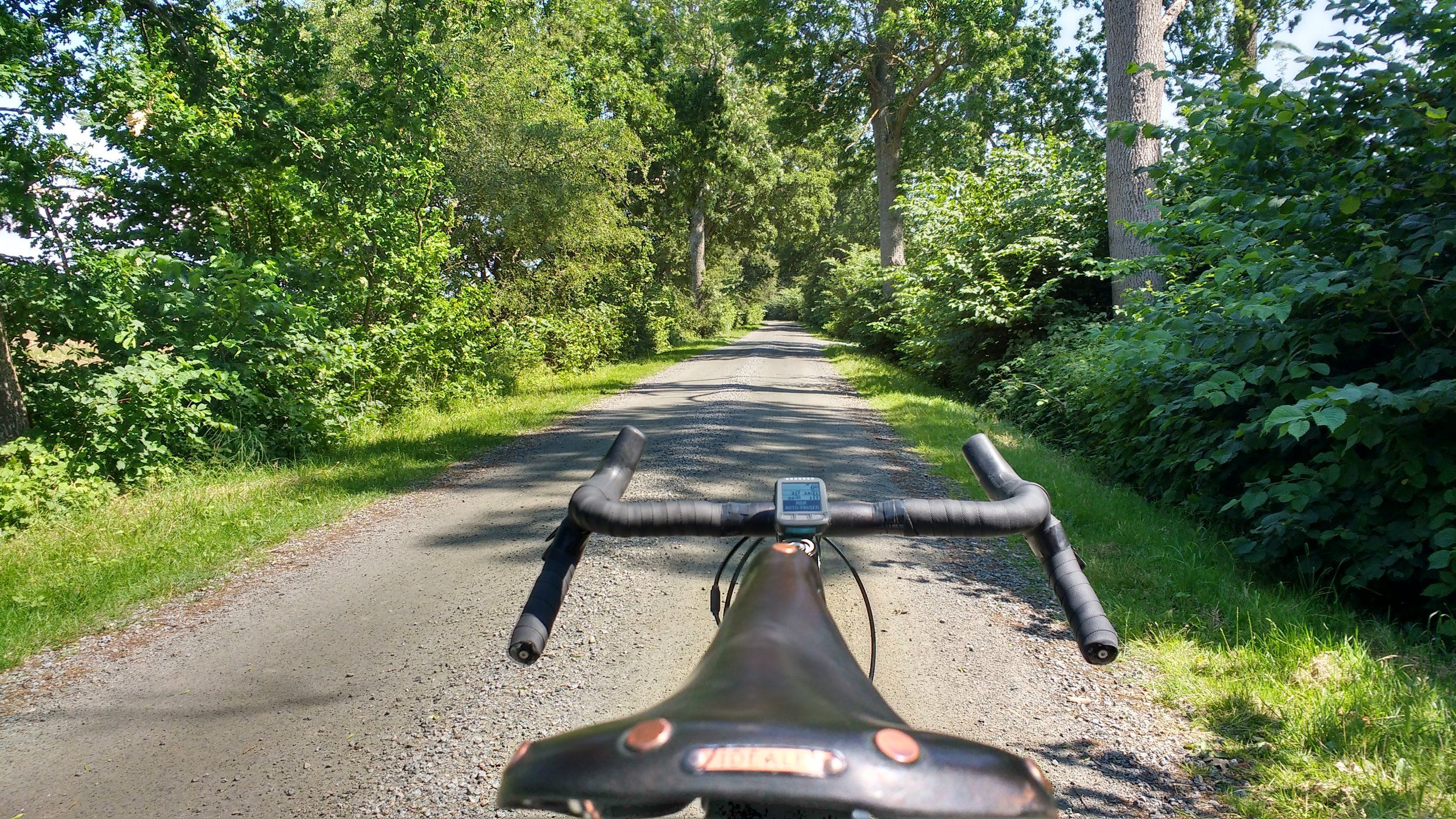 IMG_20200626_142118193_HDR.jpg