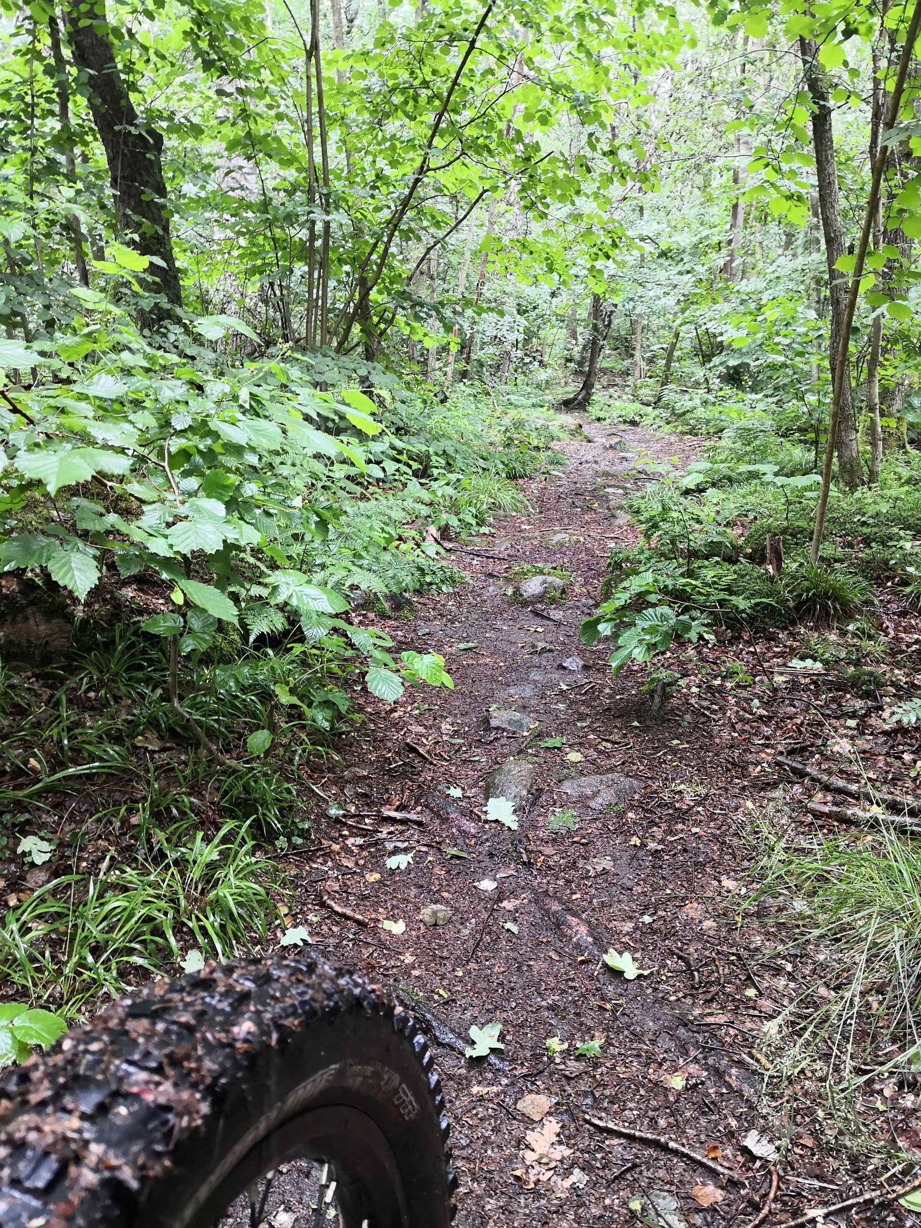 IMG_20200706_143418.jpg