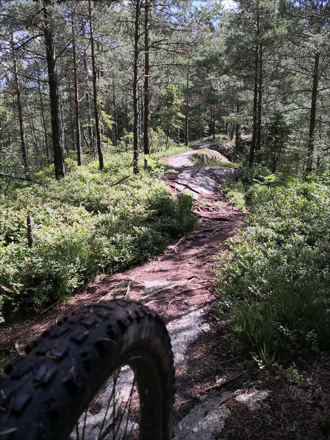 IMG_20200708_142143.jpg