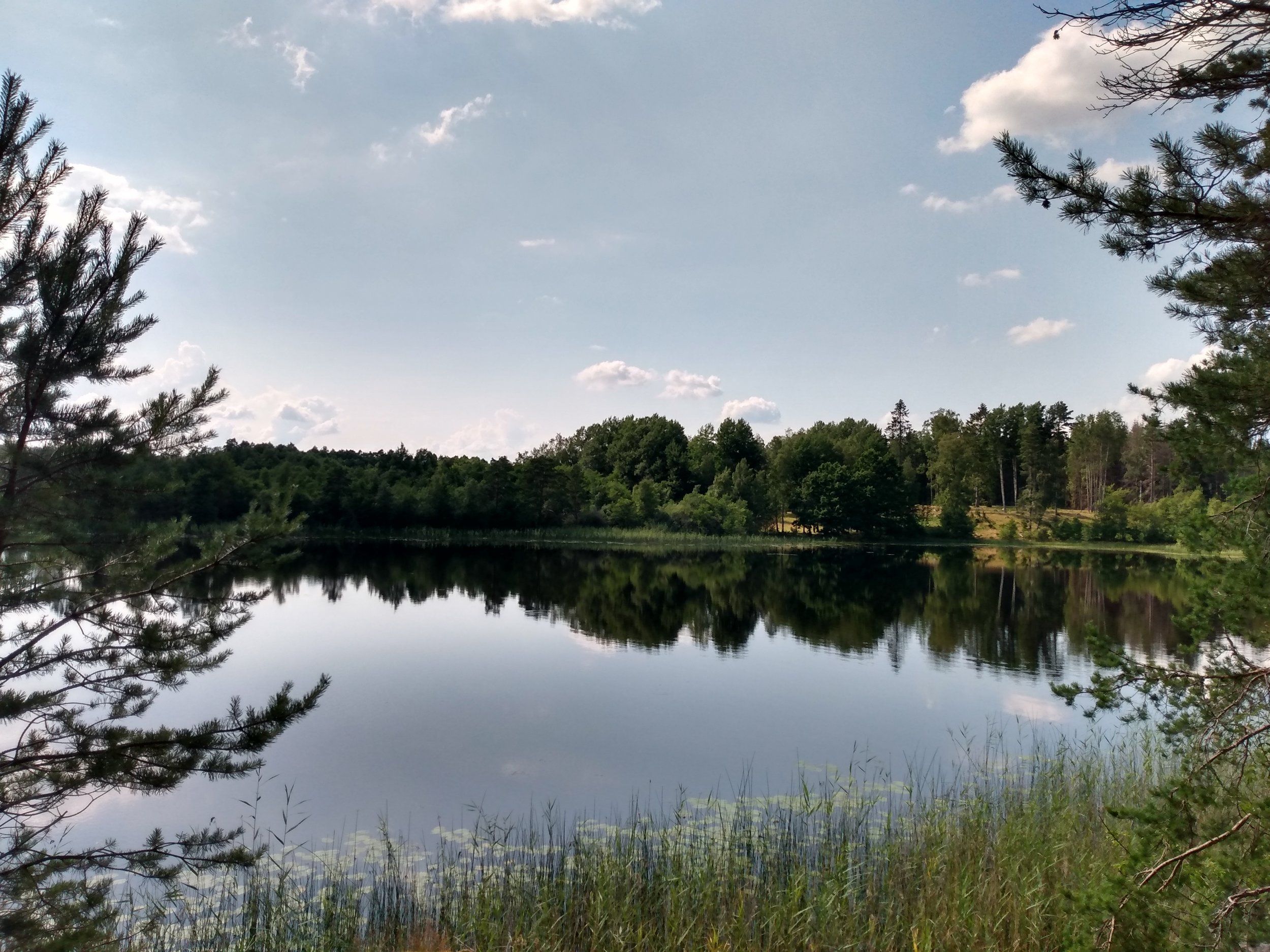 IMG_20200716_151230474_HDR.jpg