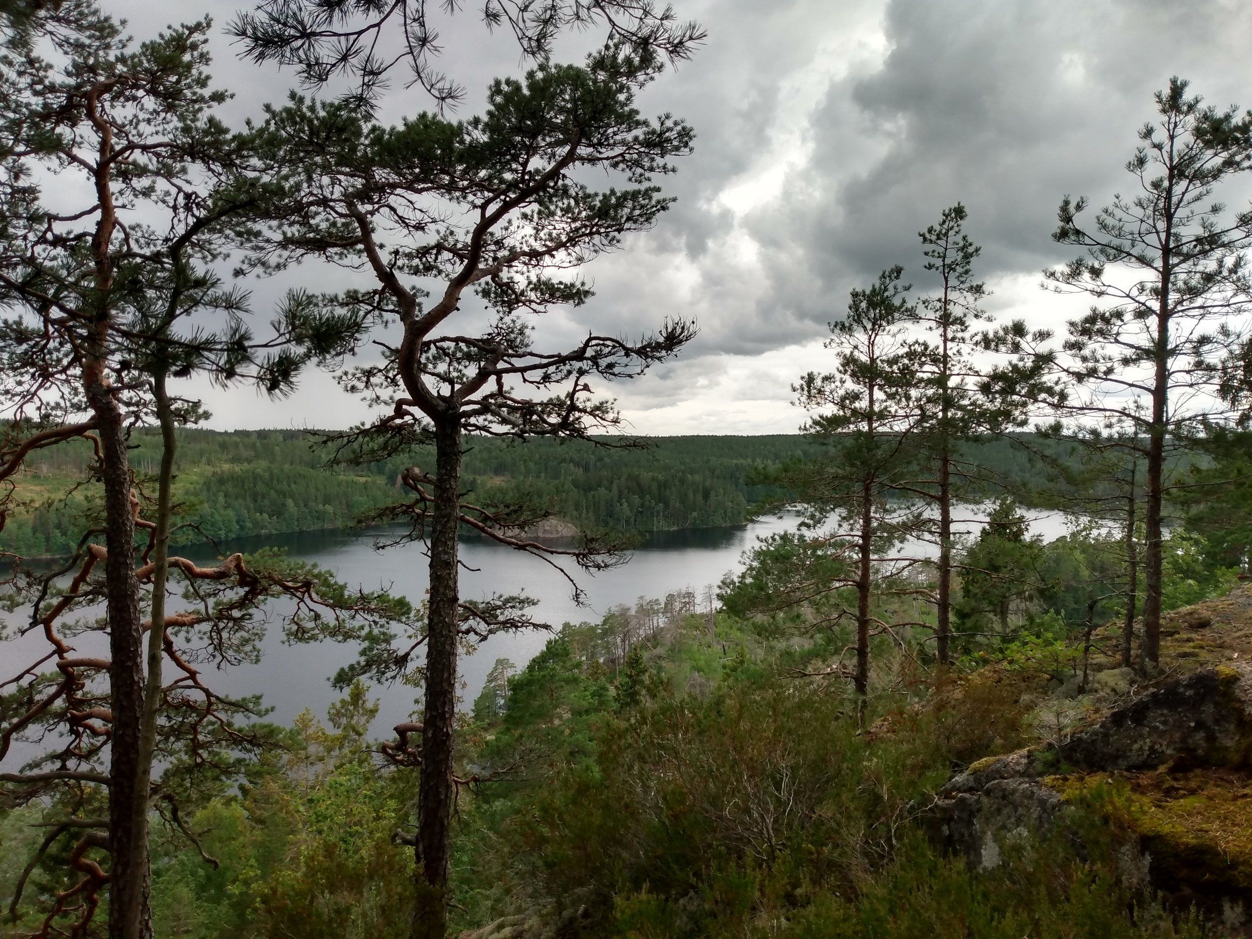 IMG_20200729_132016545_HDR.jpg