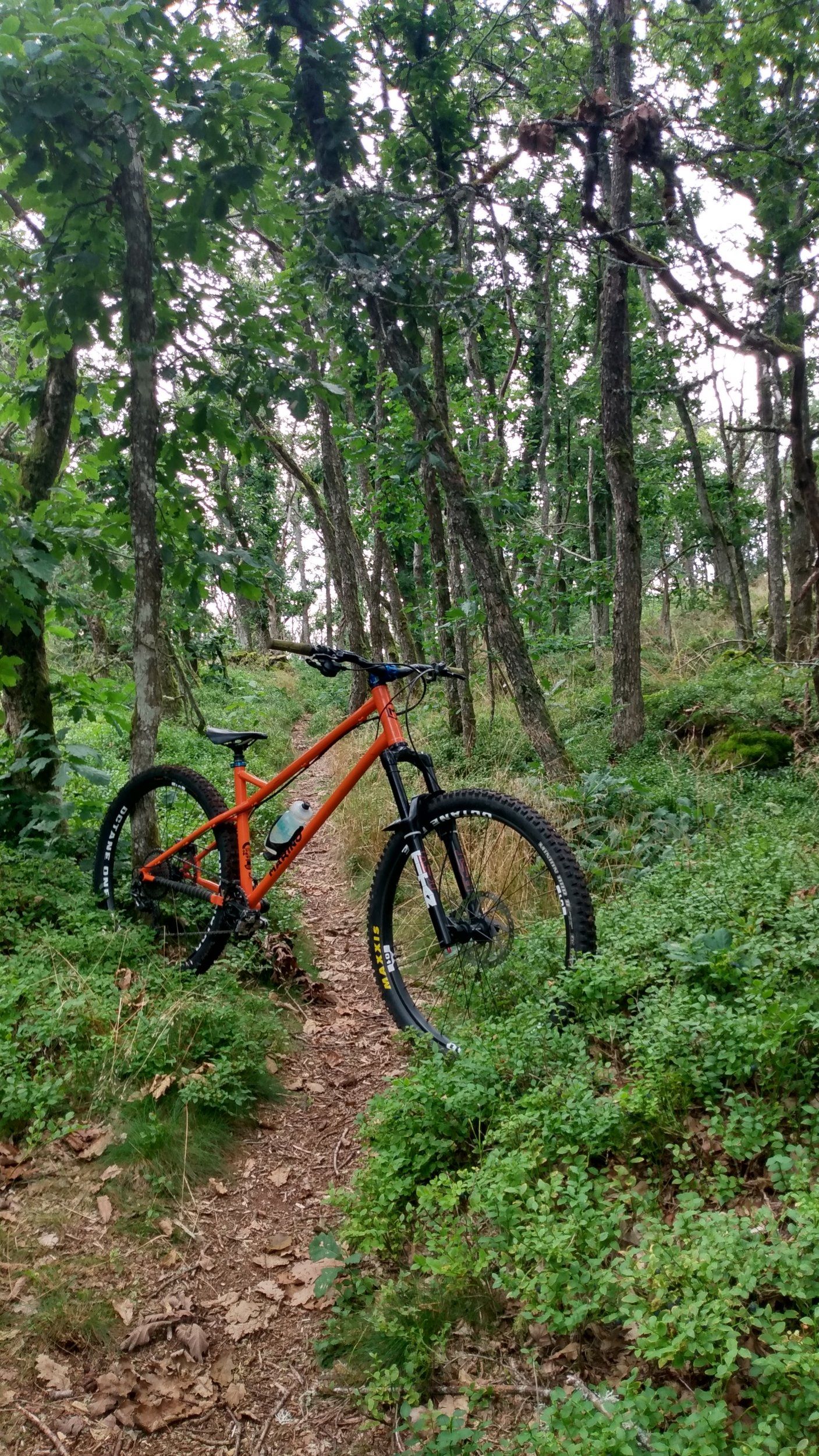 IMG_20200806_174626915_HDR.jpg