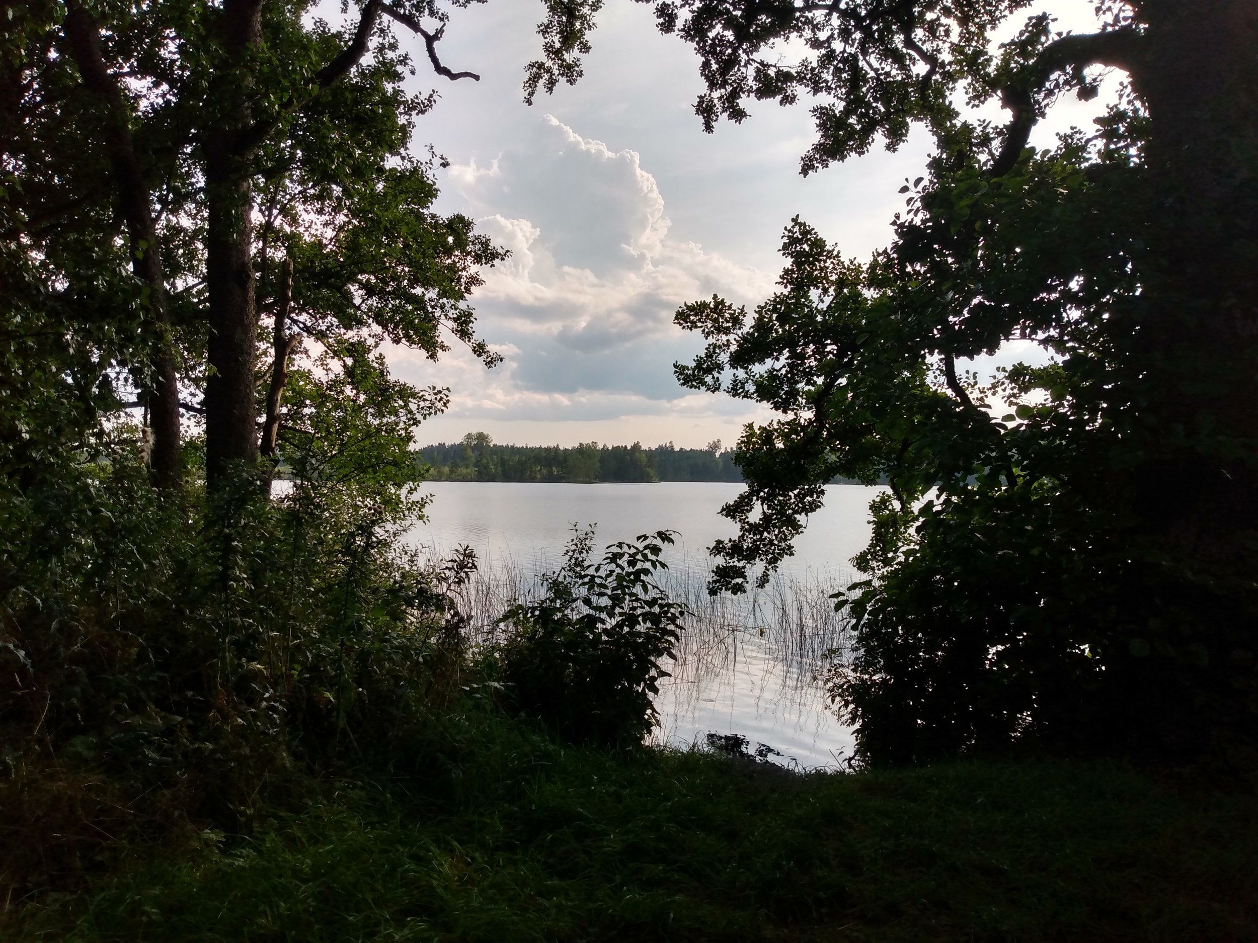 IMG_20200813_163602829_HDR.jpg