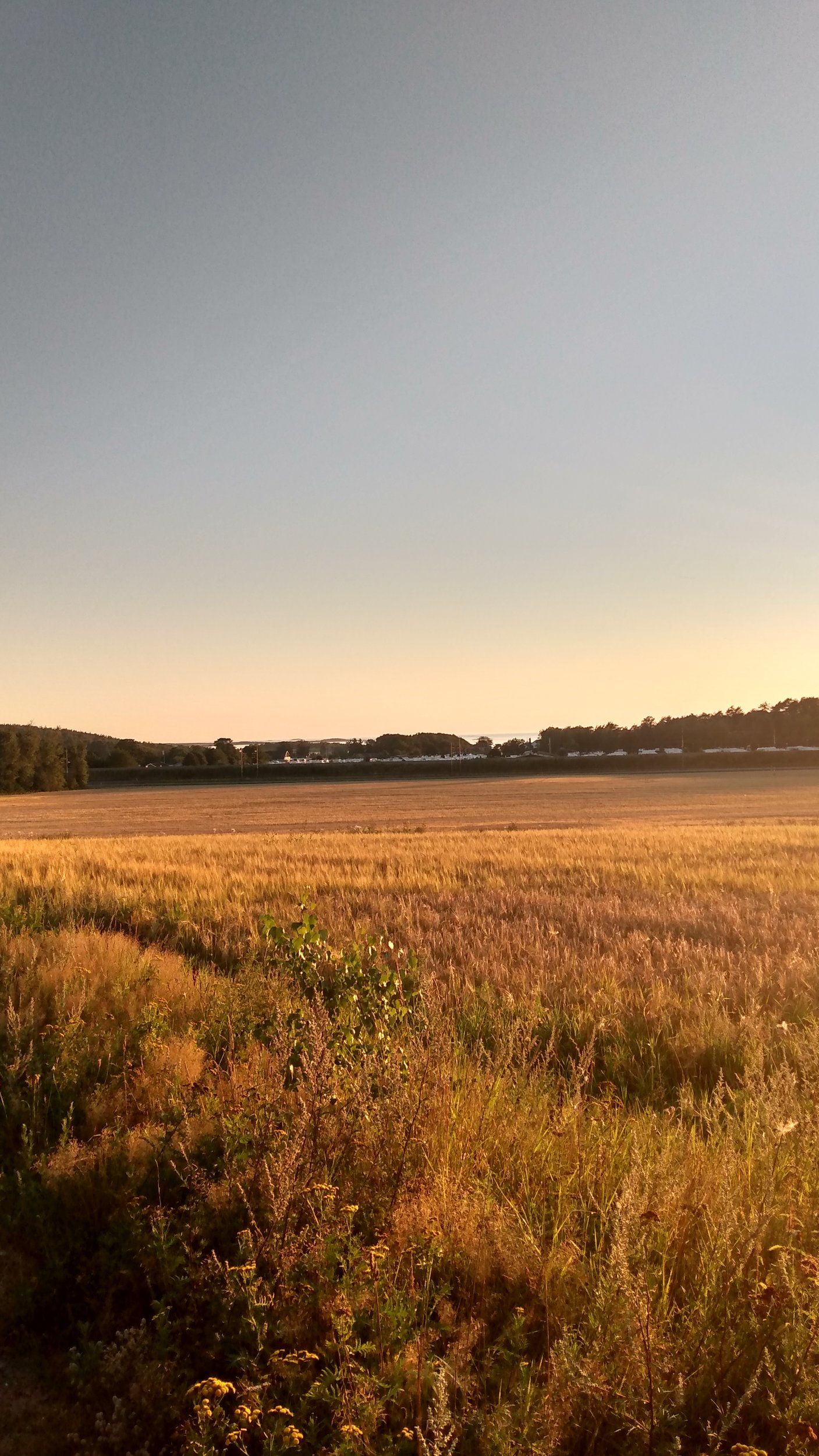 IMG_20200815_202125215_HDR.jpg