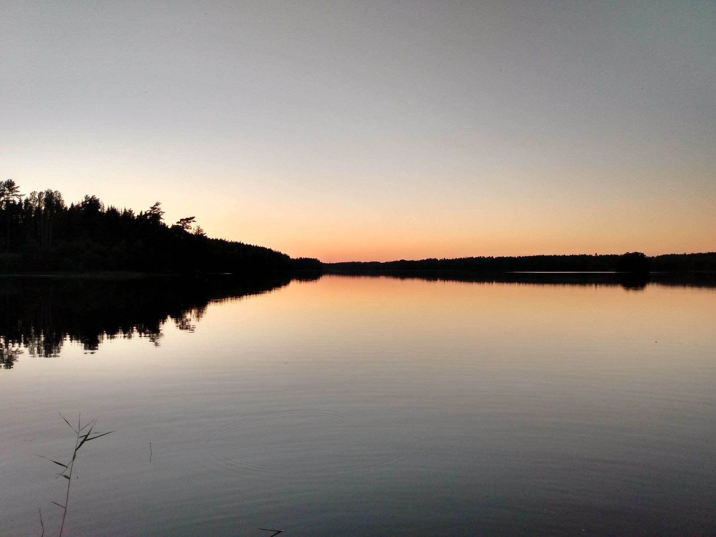 IMG_20200816_204231513_HDR.jpg