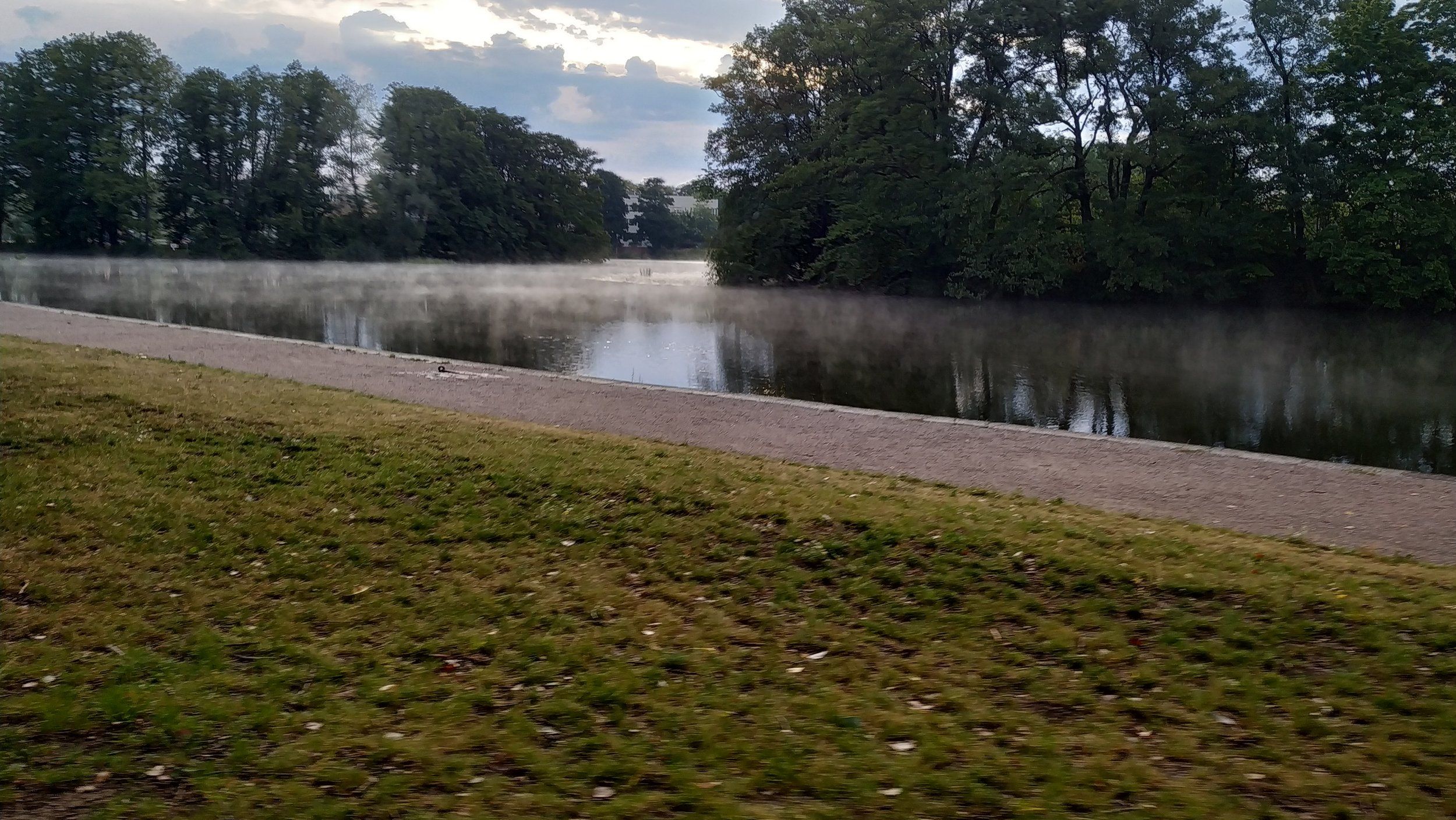 IMG_20200820_065050.jpg