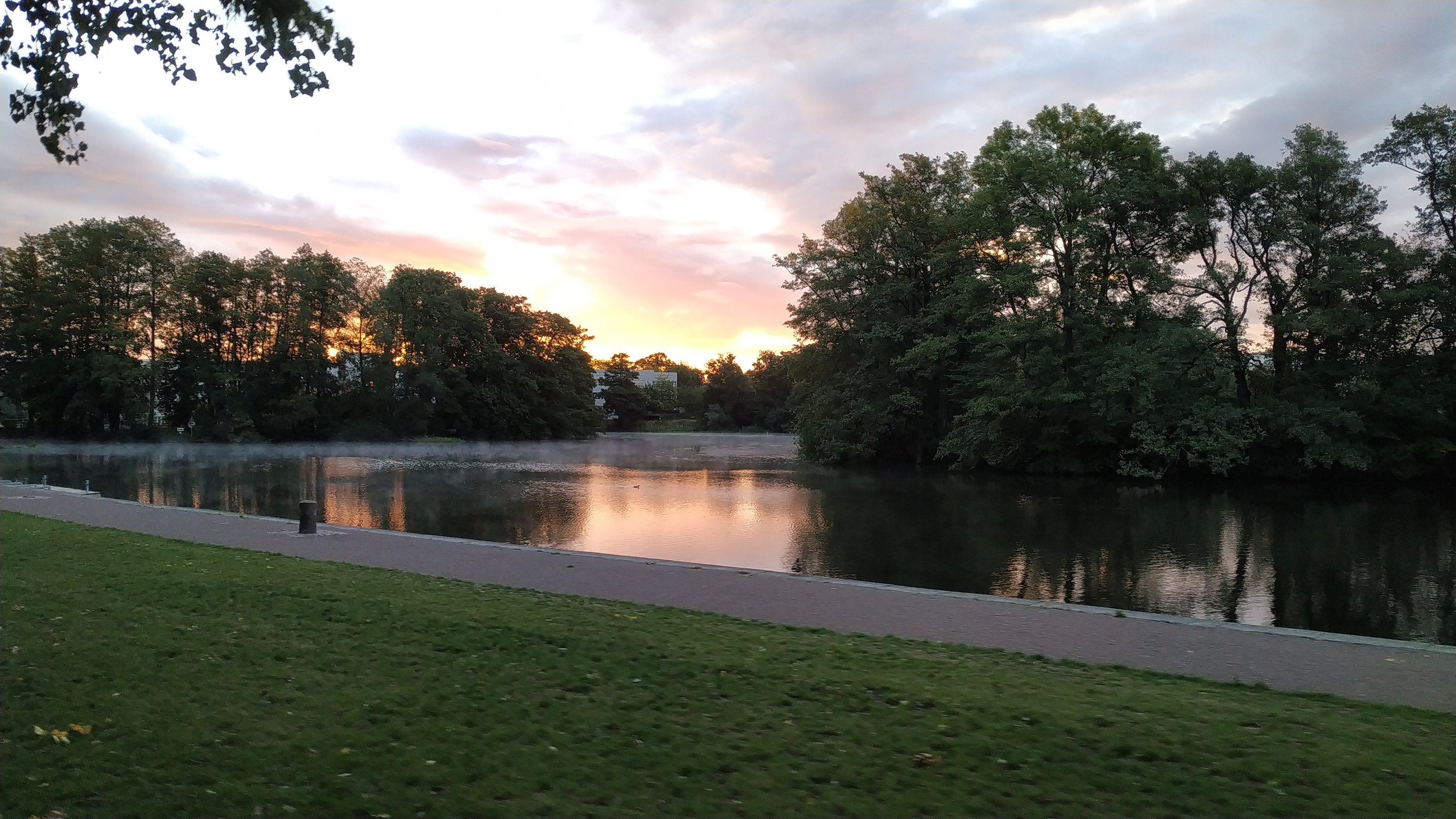 IMG_20200907_062546.jpg