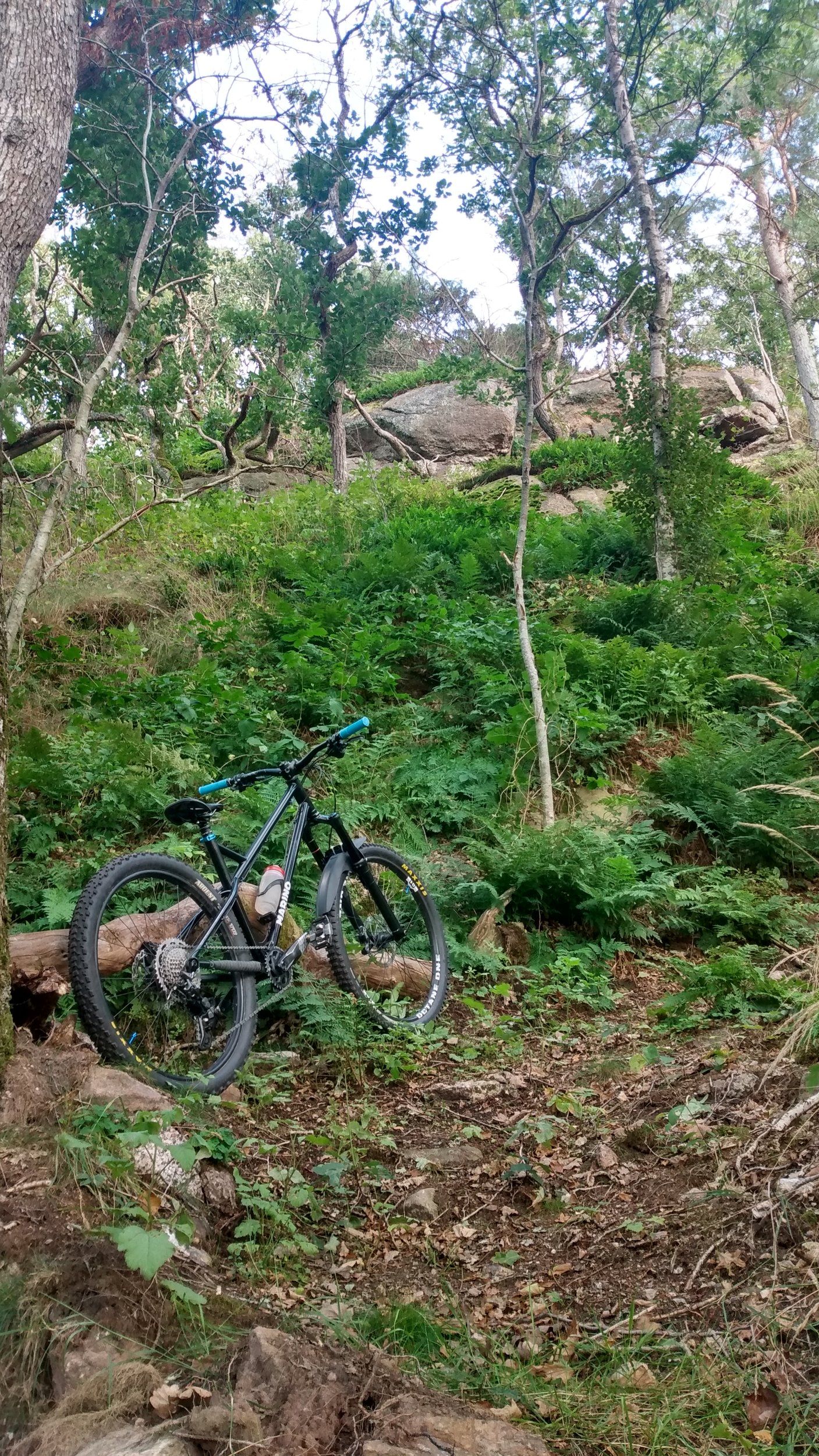 IMG_20200910_175240526_HDR.jpg
