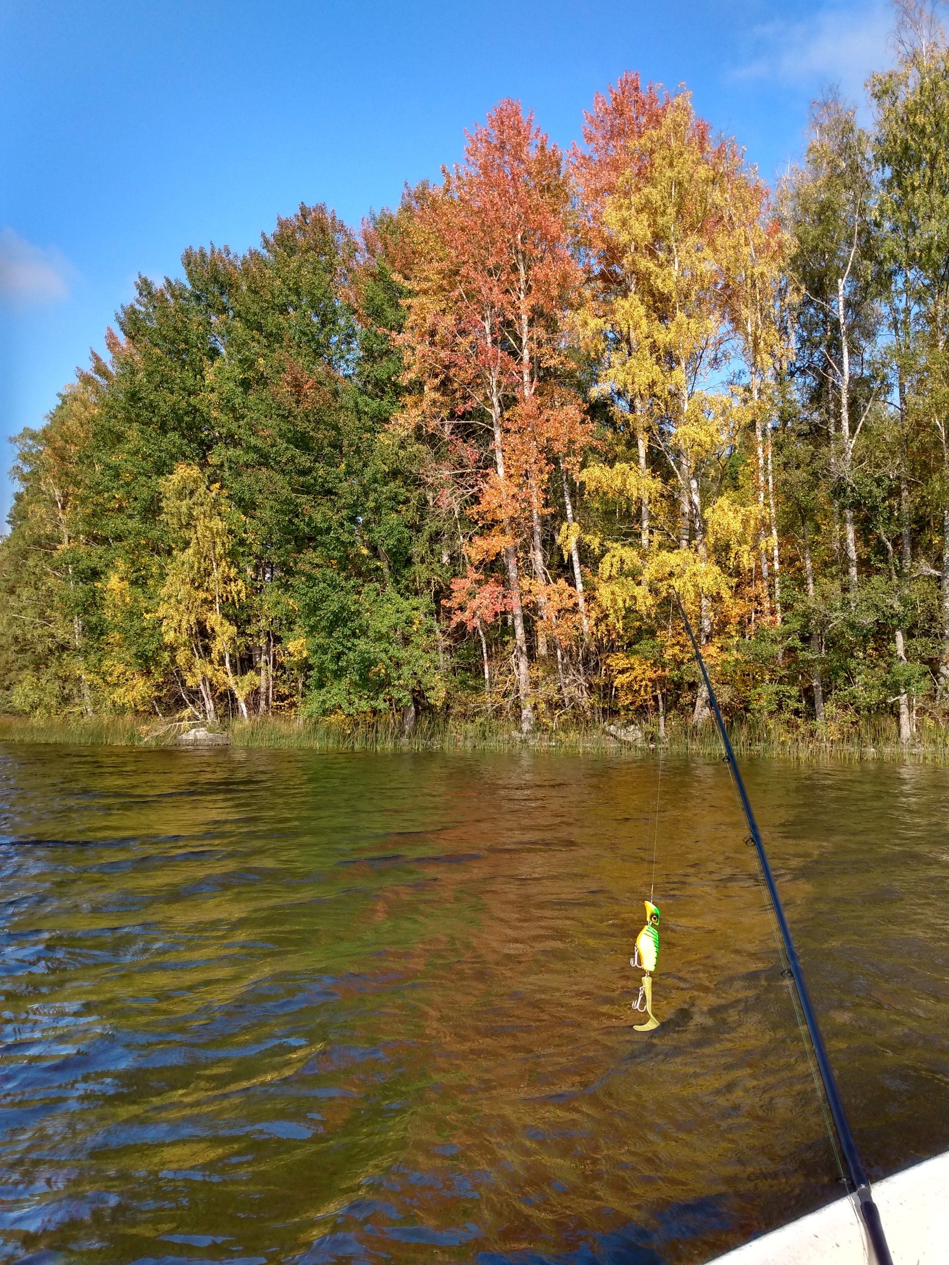 IMG_20200927_144252421_HDR.jpg