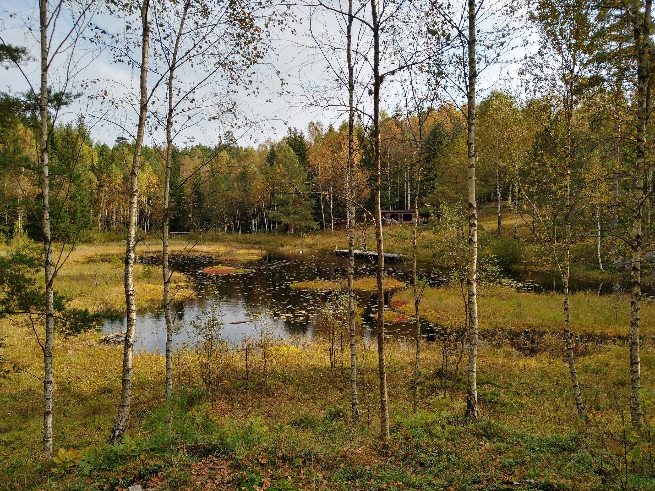IMG_20200928_104037228_HDR.jpg