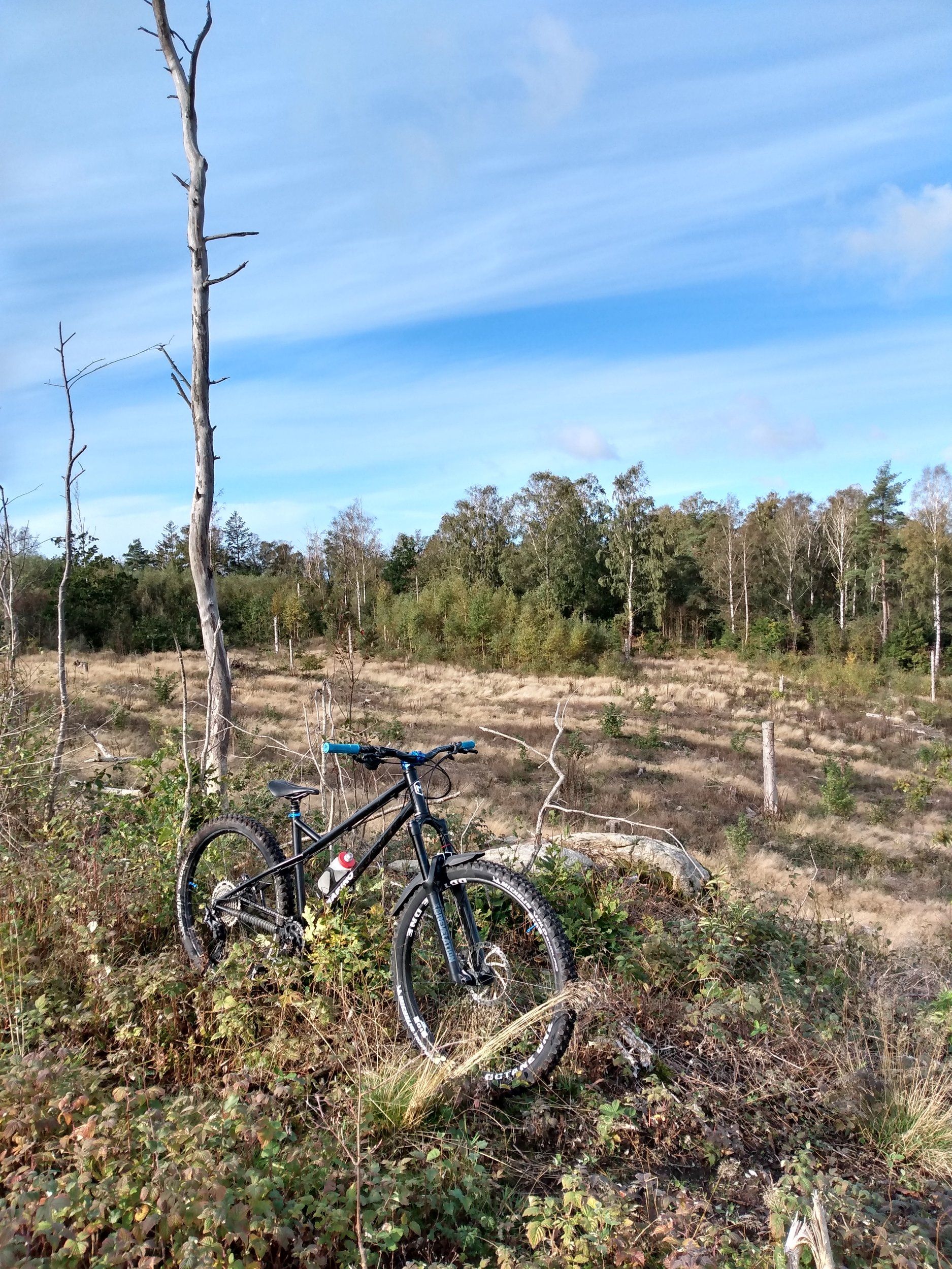 IMG_20201009_111703867_HDR.jpg