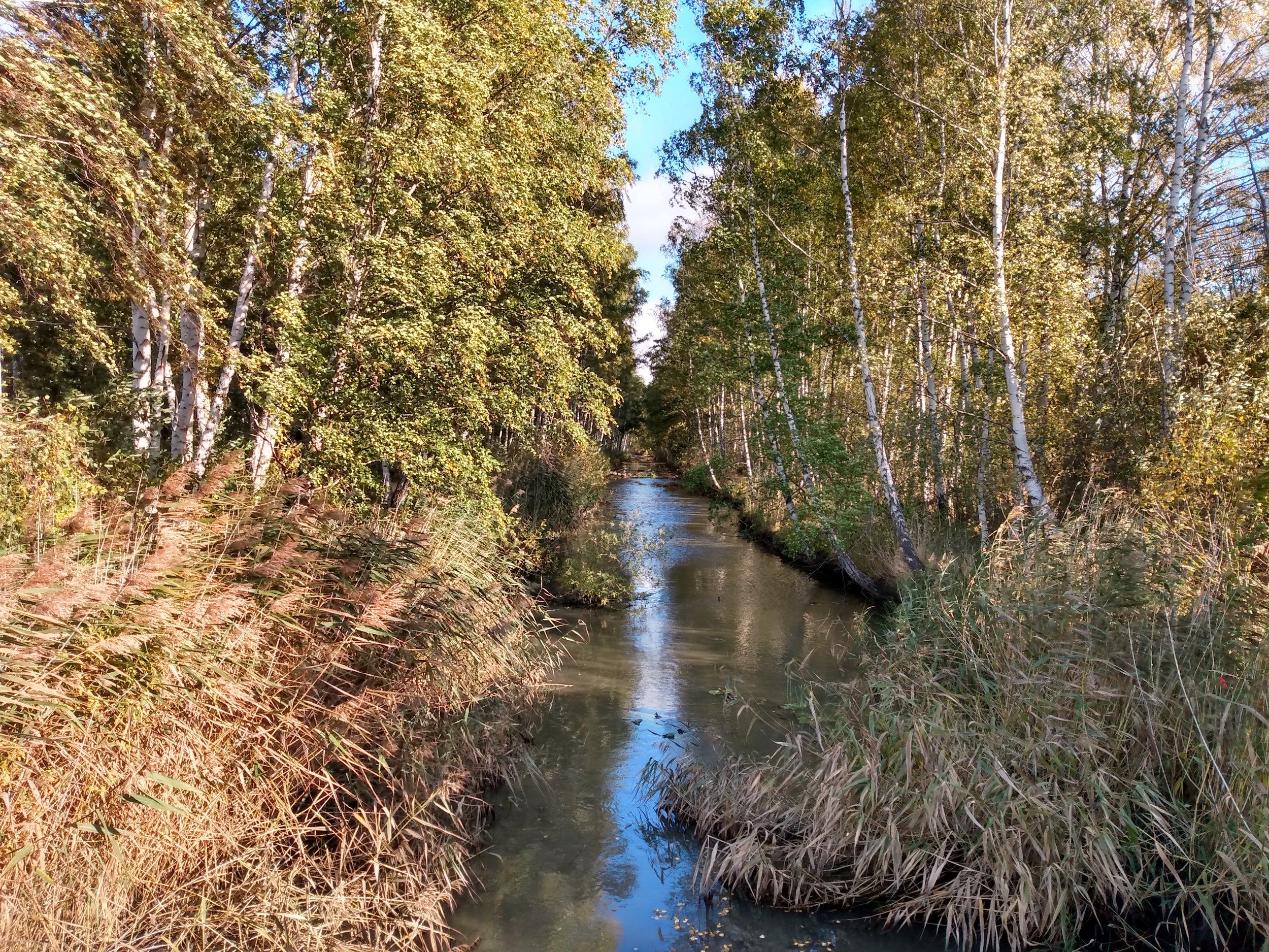 IMG_20201009_111725151_HDR.jpg