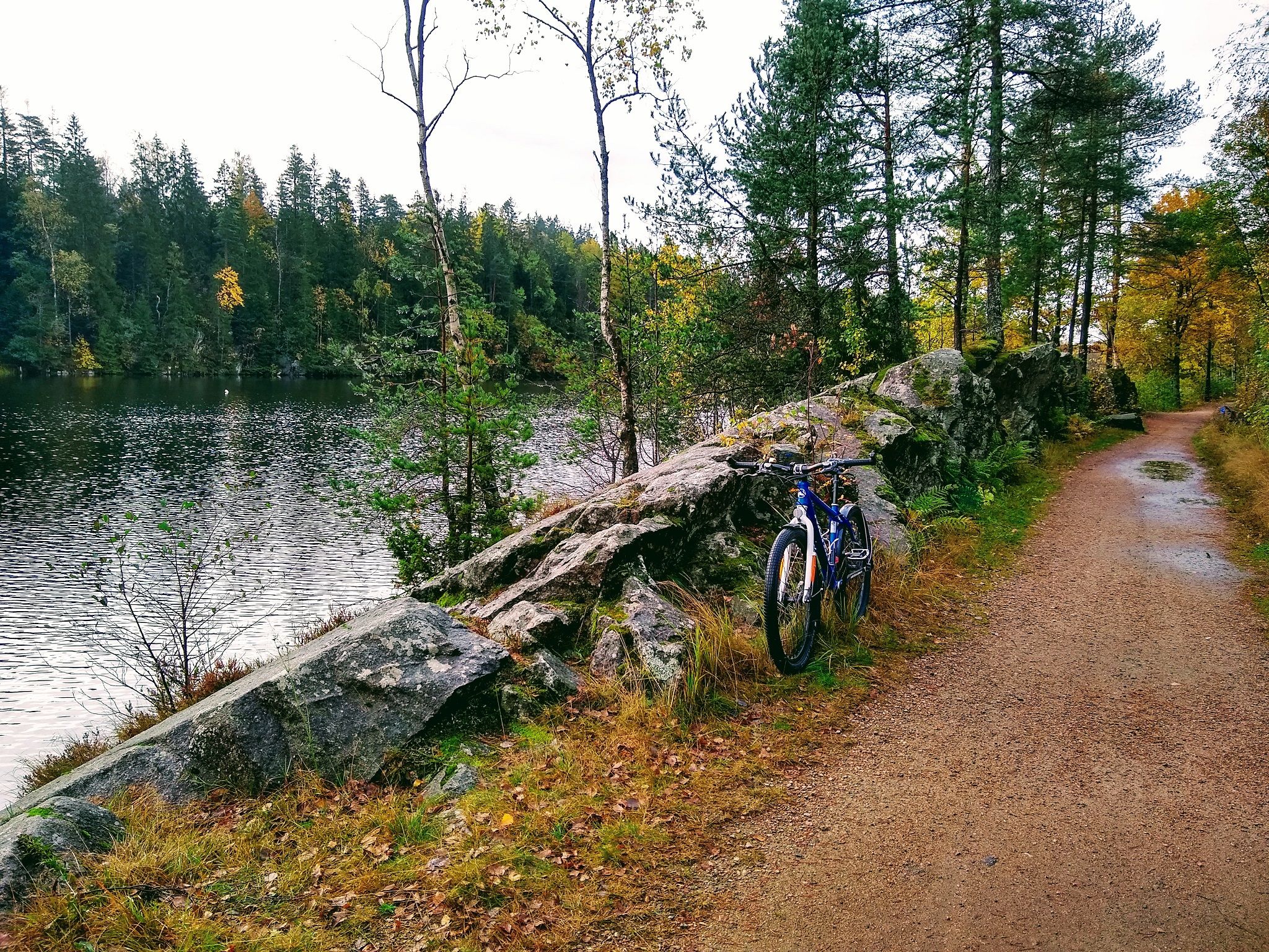 IMG_20201011_092551674_HDR.jpg