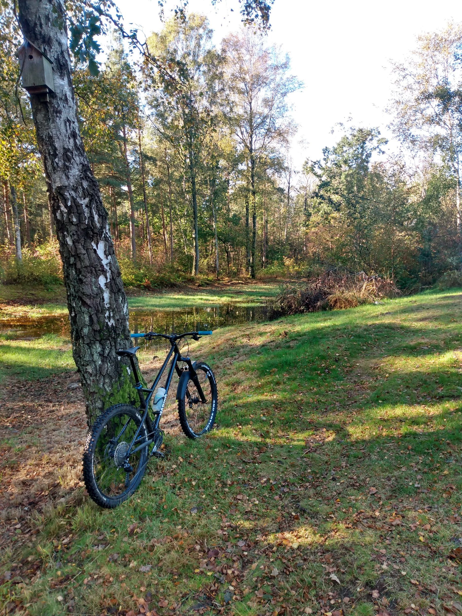 IMG_20201012_112403426_HDR.jpg