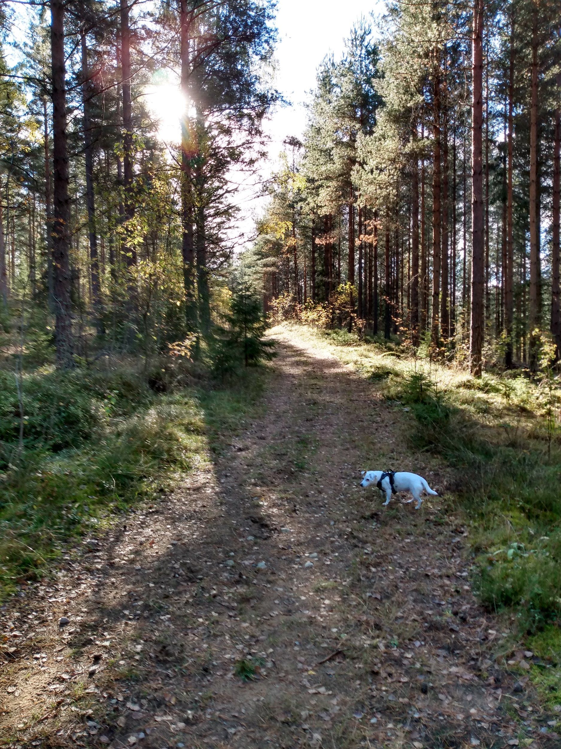IMG_20201012_134541867_HDR.jpg
