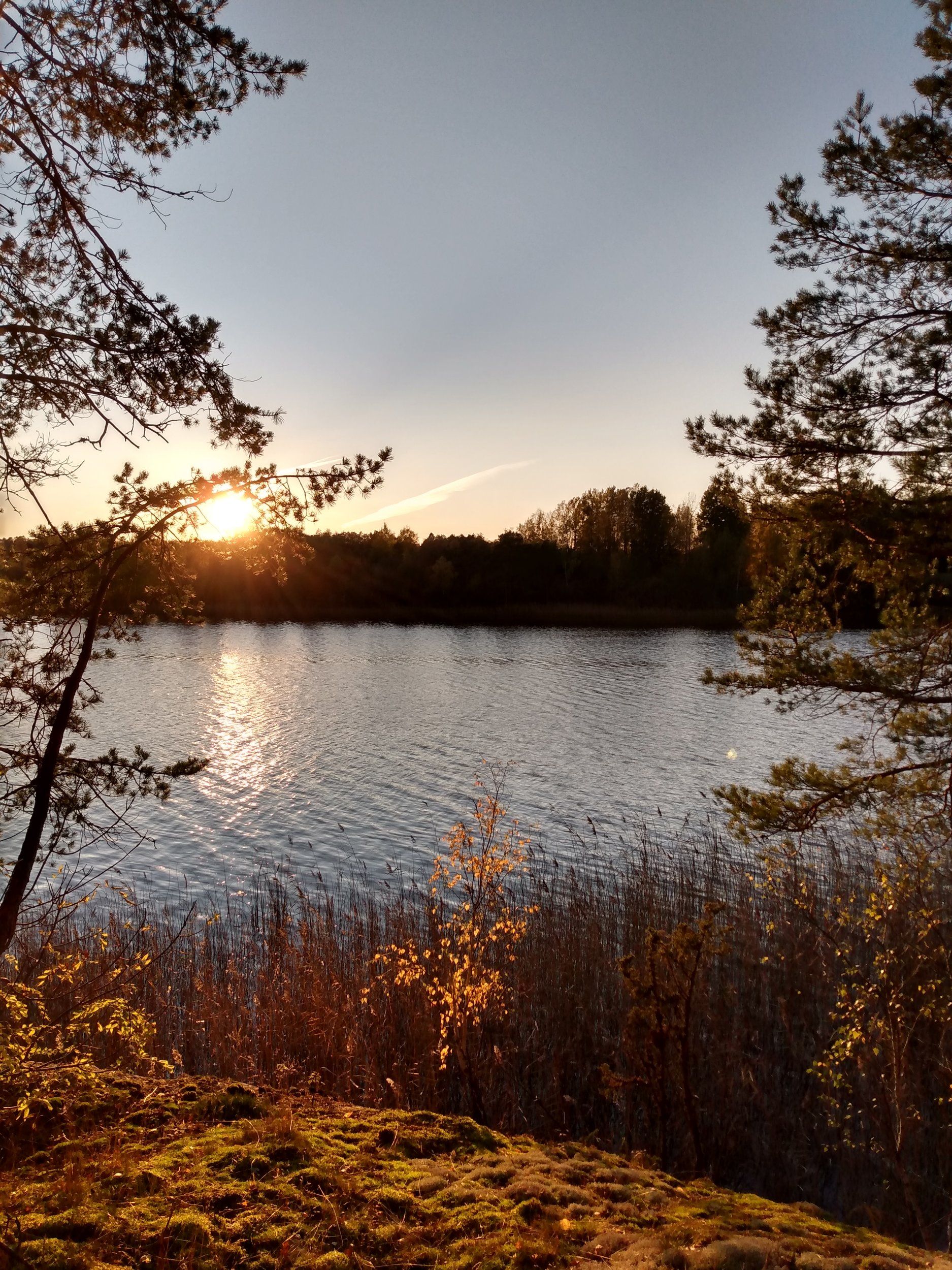 IMG_20201015_171431408_HDR.jpg