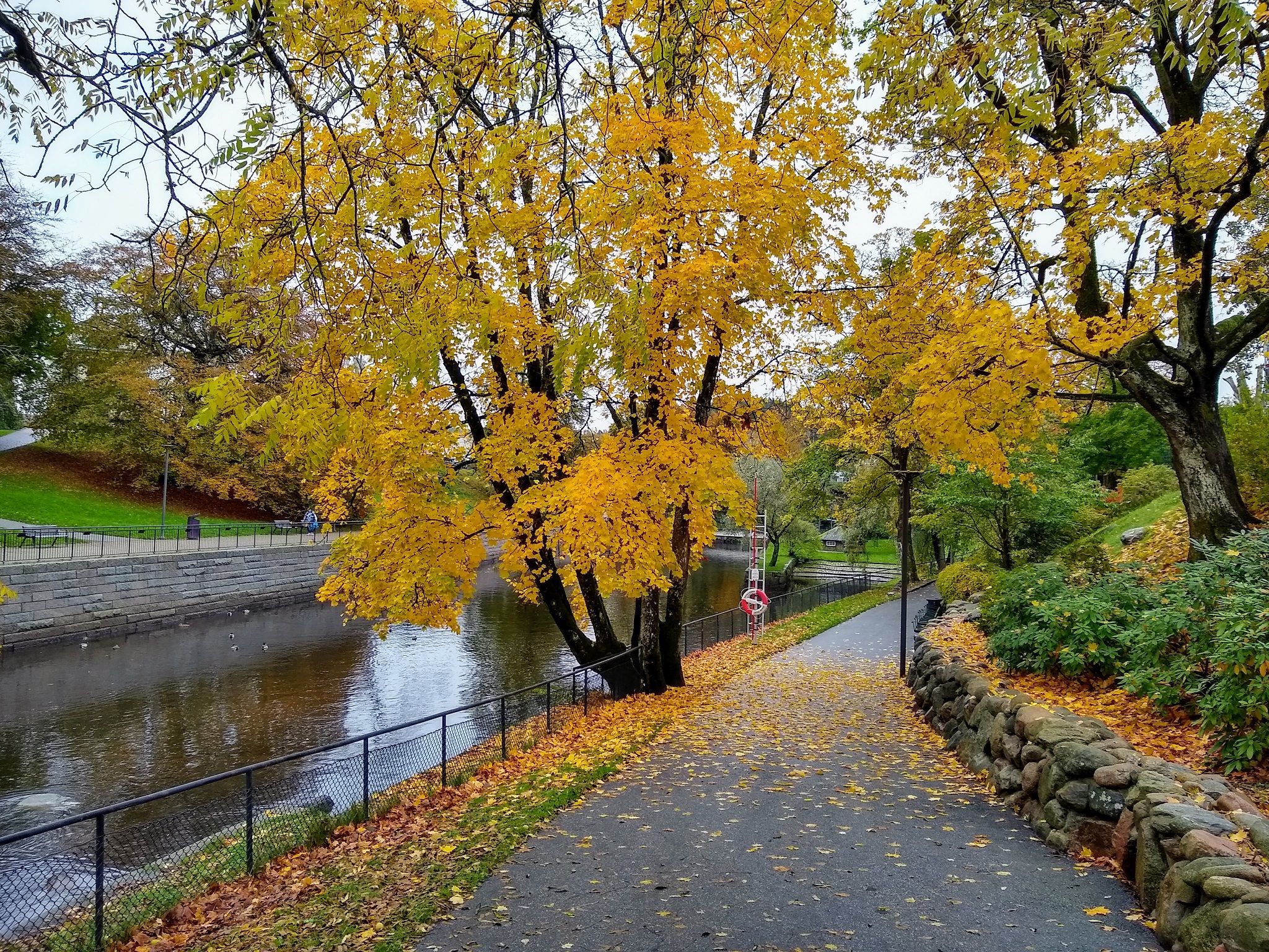 IMG_20201022_101807122_HDR.jpg