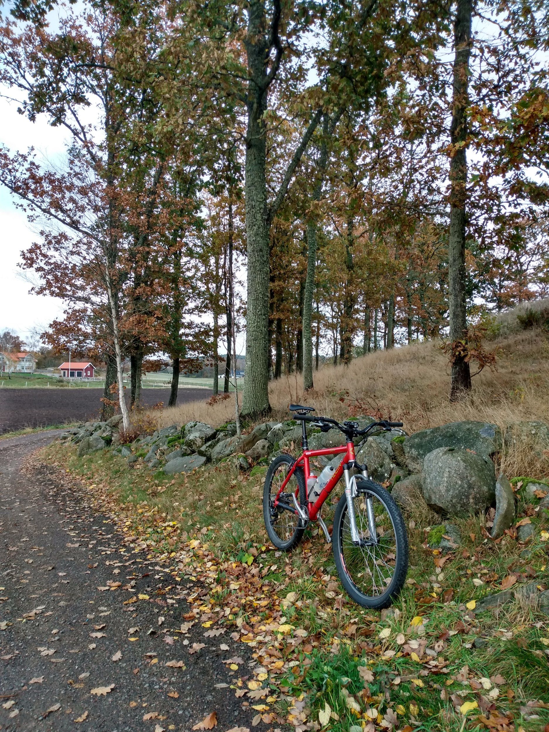 IMG_20201031_144615096_HDR.jpg