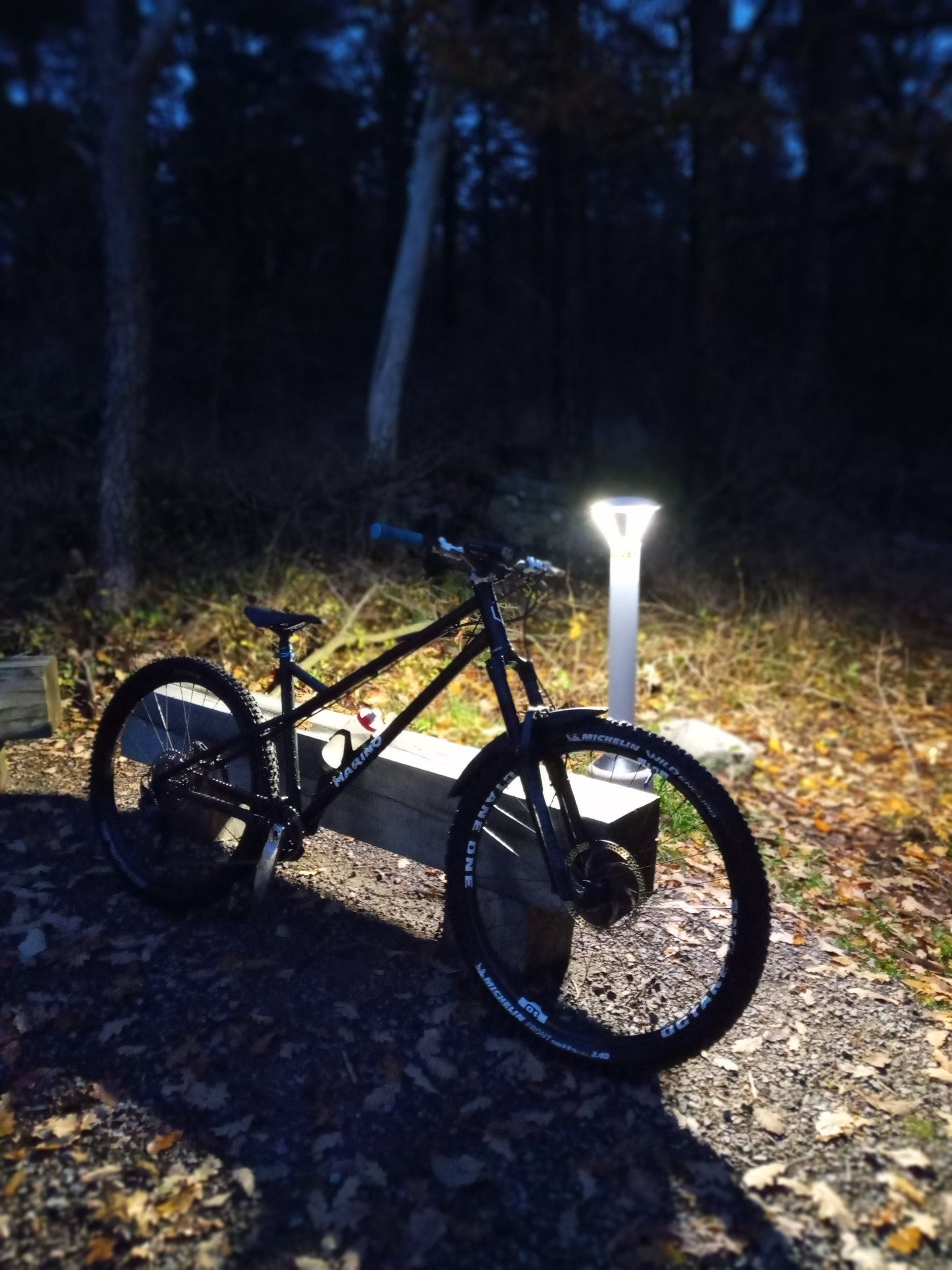 IMG_20201101_165040_4.jpg