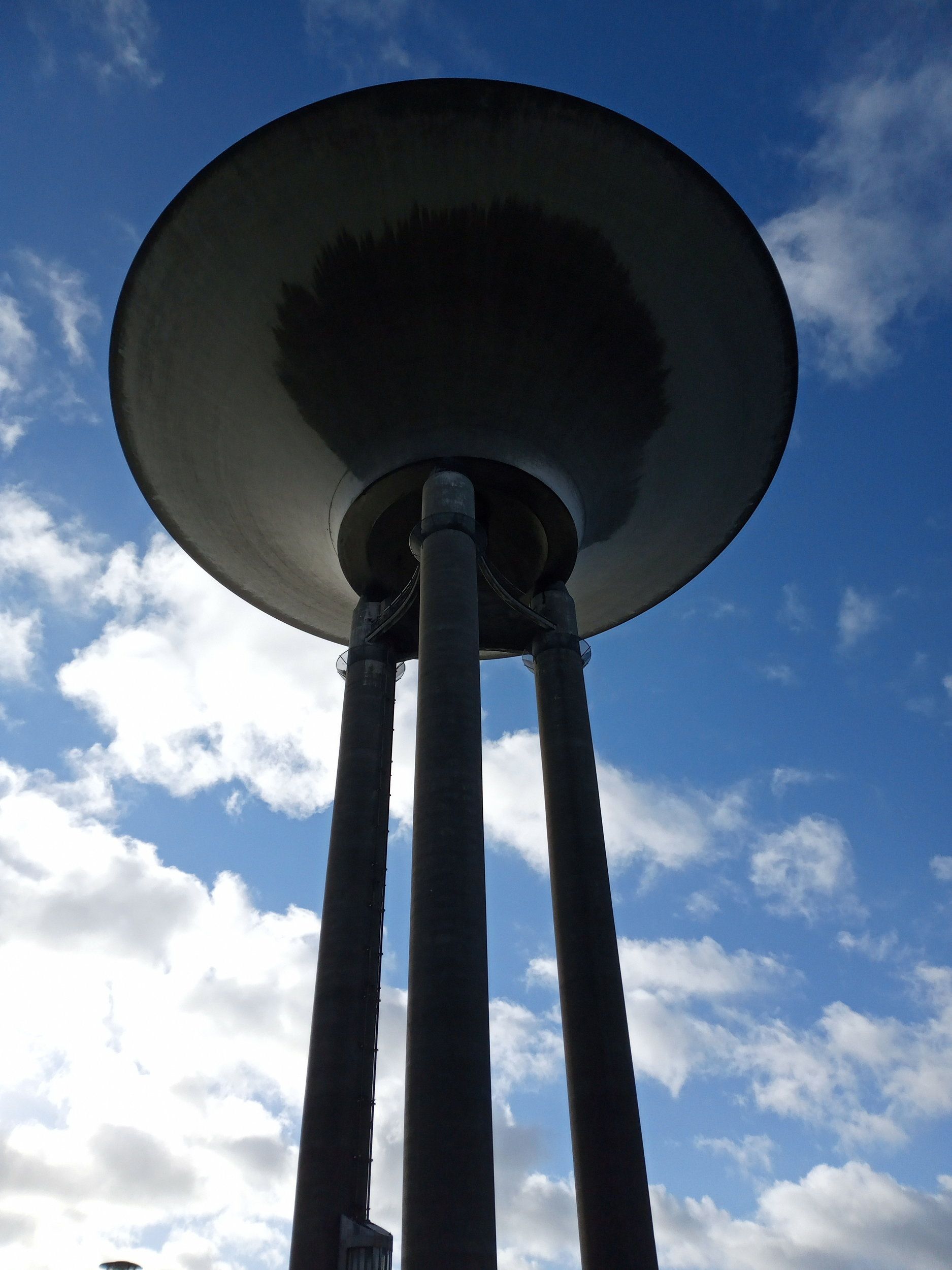 IMG_20201103_122200_361.jpg