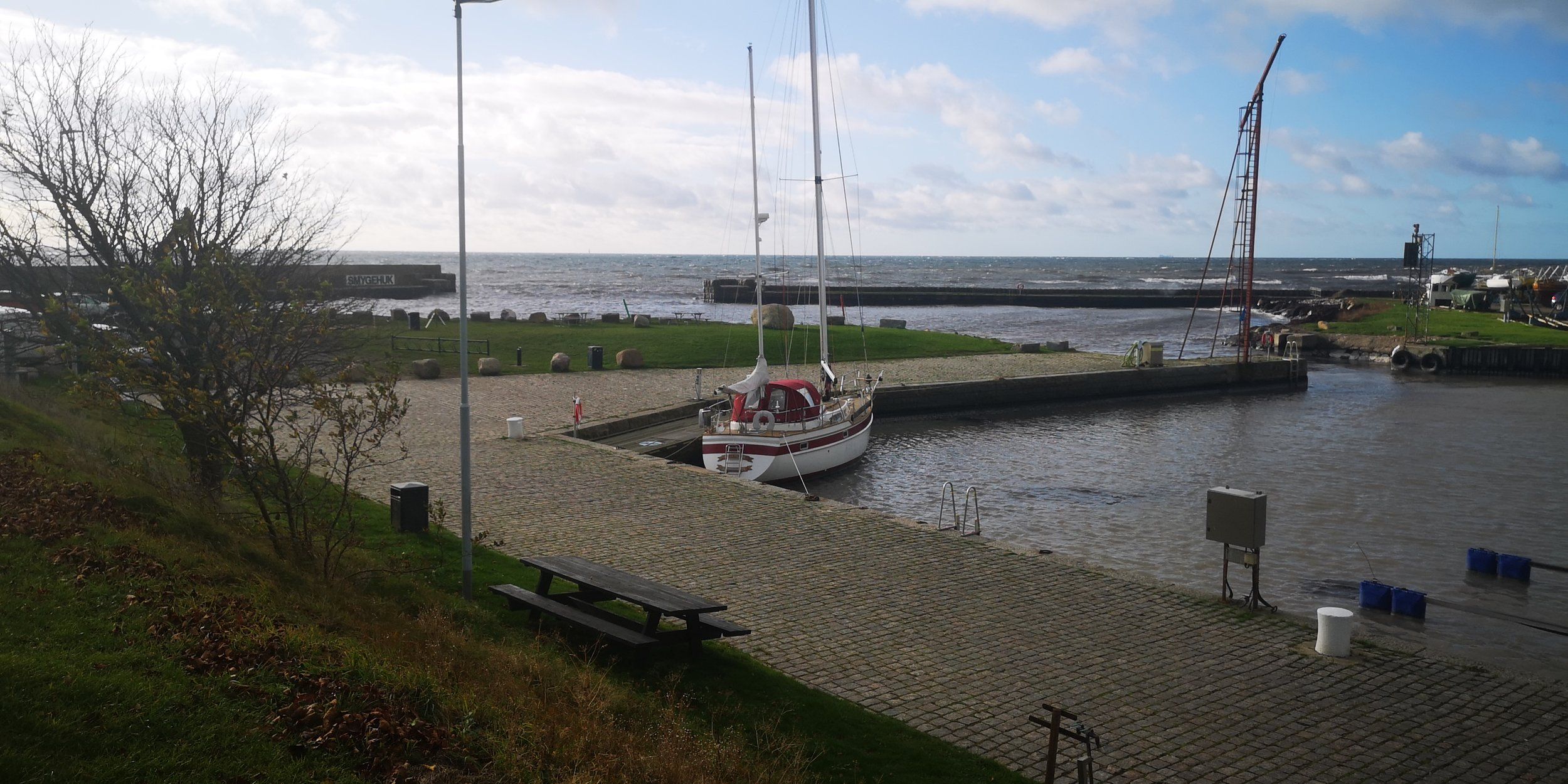 IMG_20201104_110121.jpg