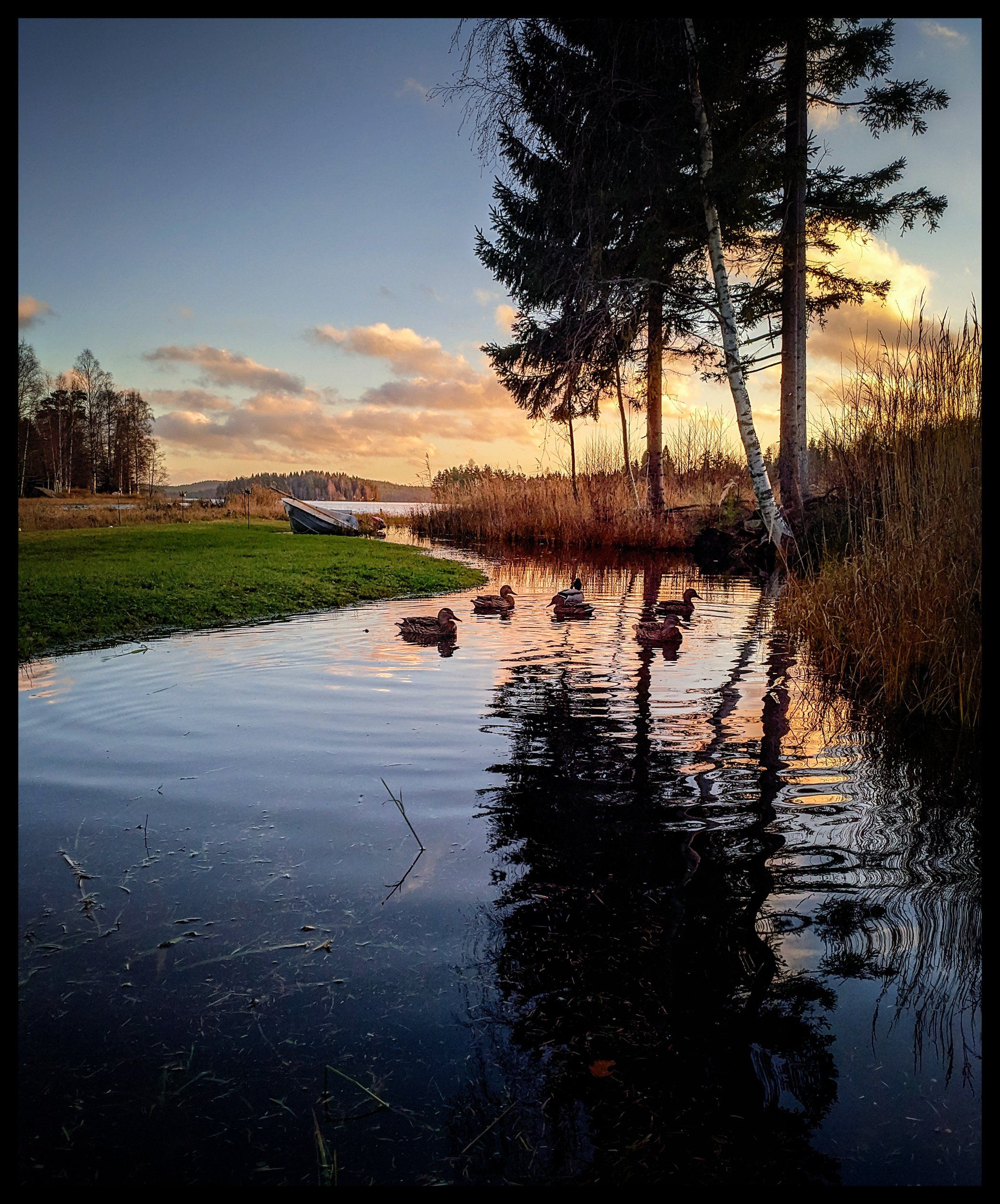 IMG_20201104_151020-01.jpeg