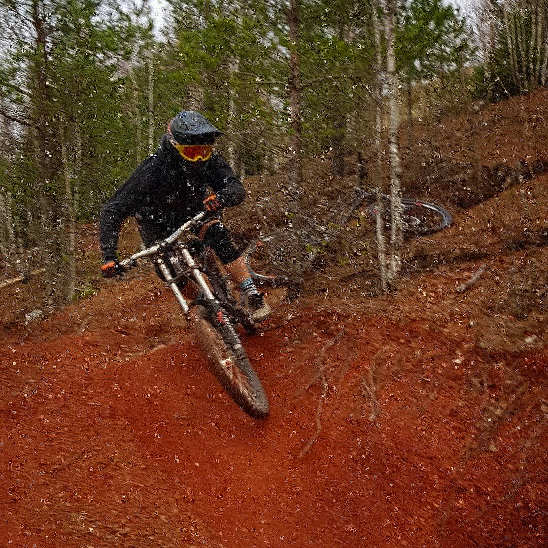 IMG_20201107_135635_564.jpg