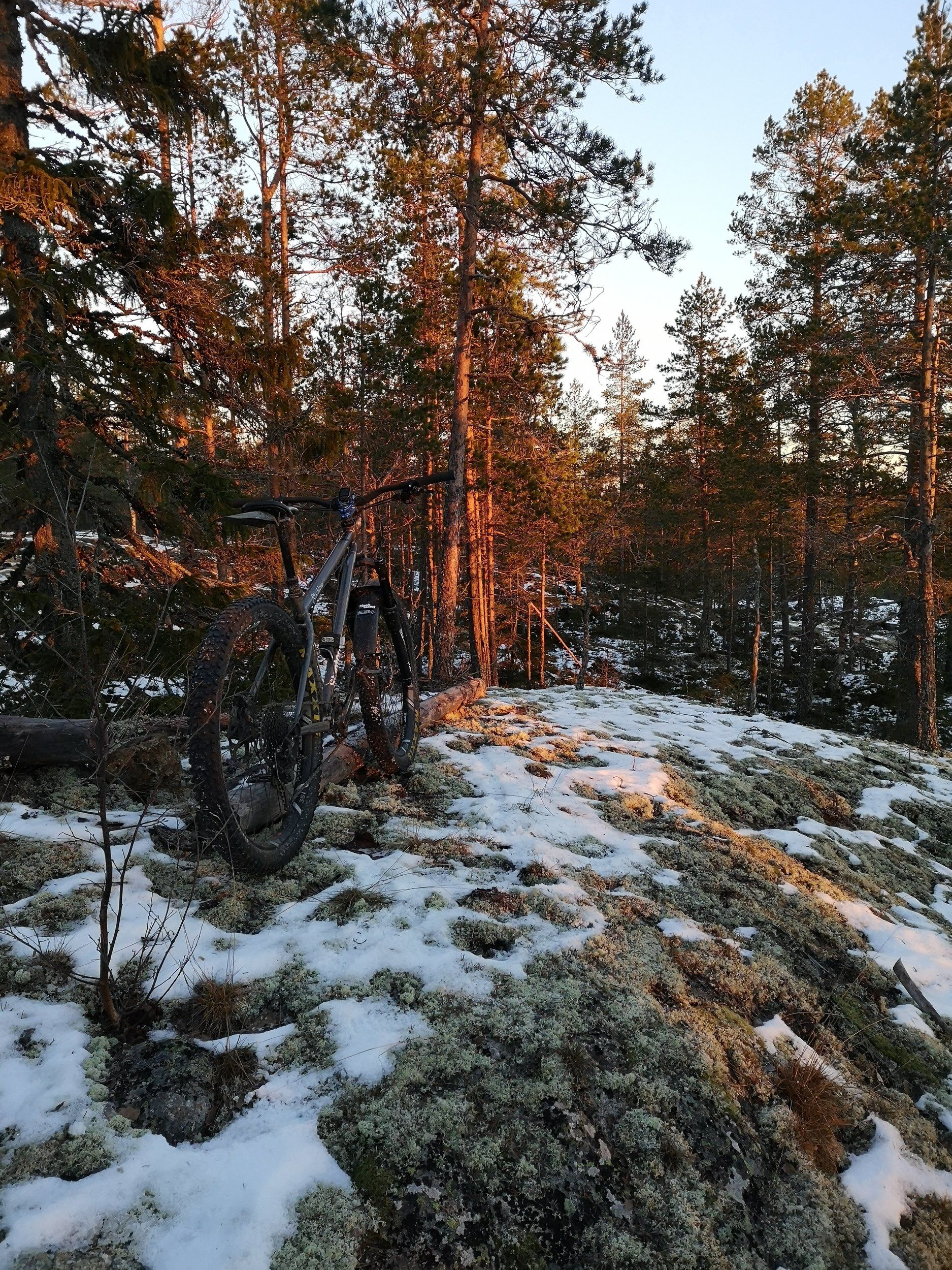 IMG_20201127_090911.jpg