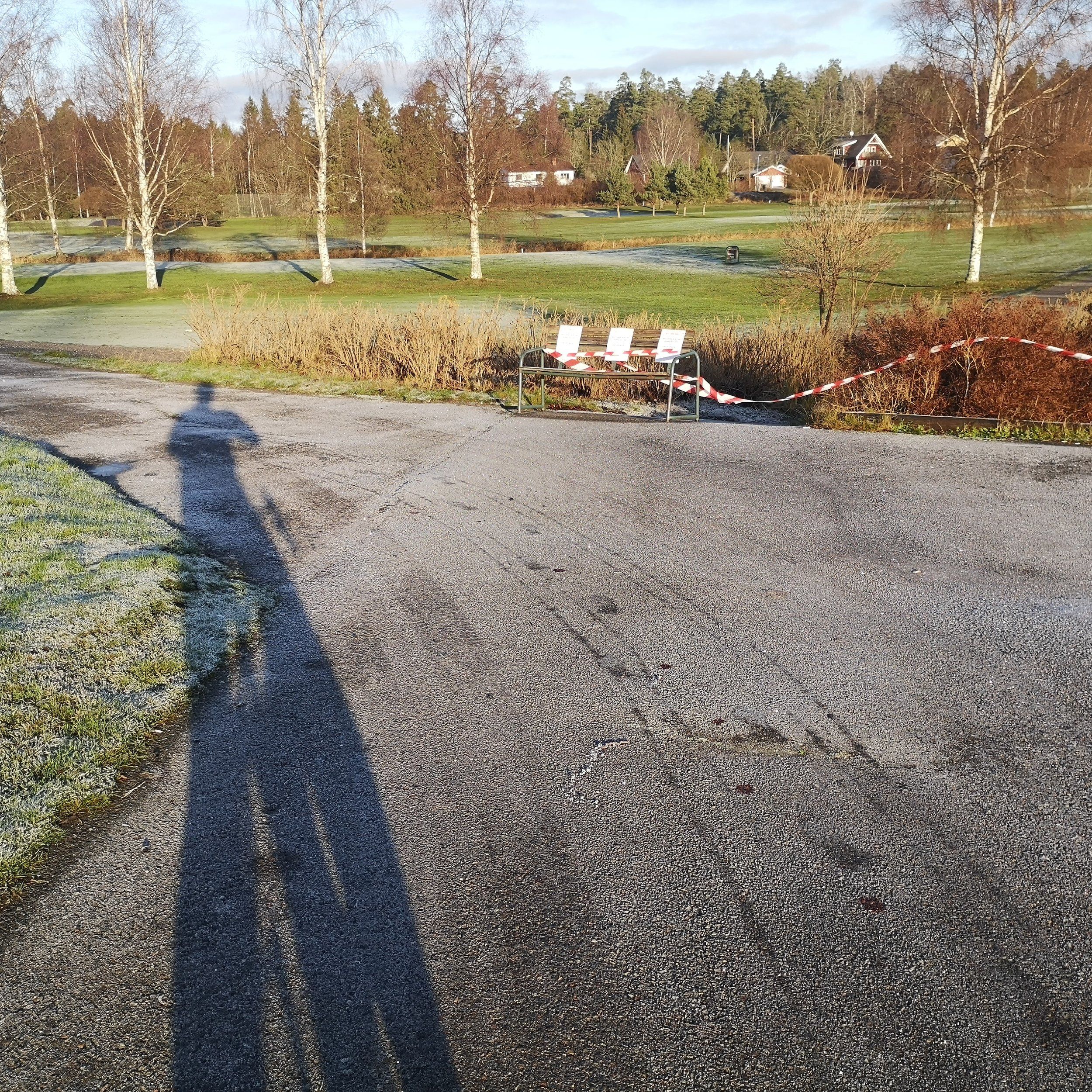 IMG_20201127_111719_426.jpg