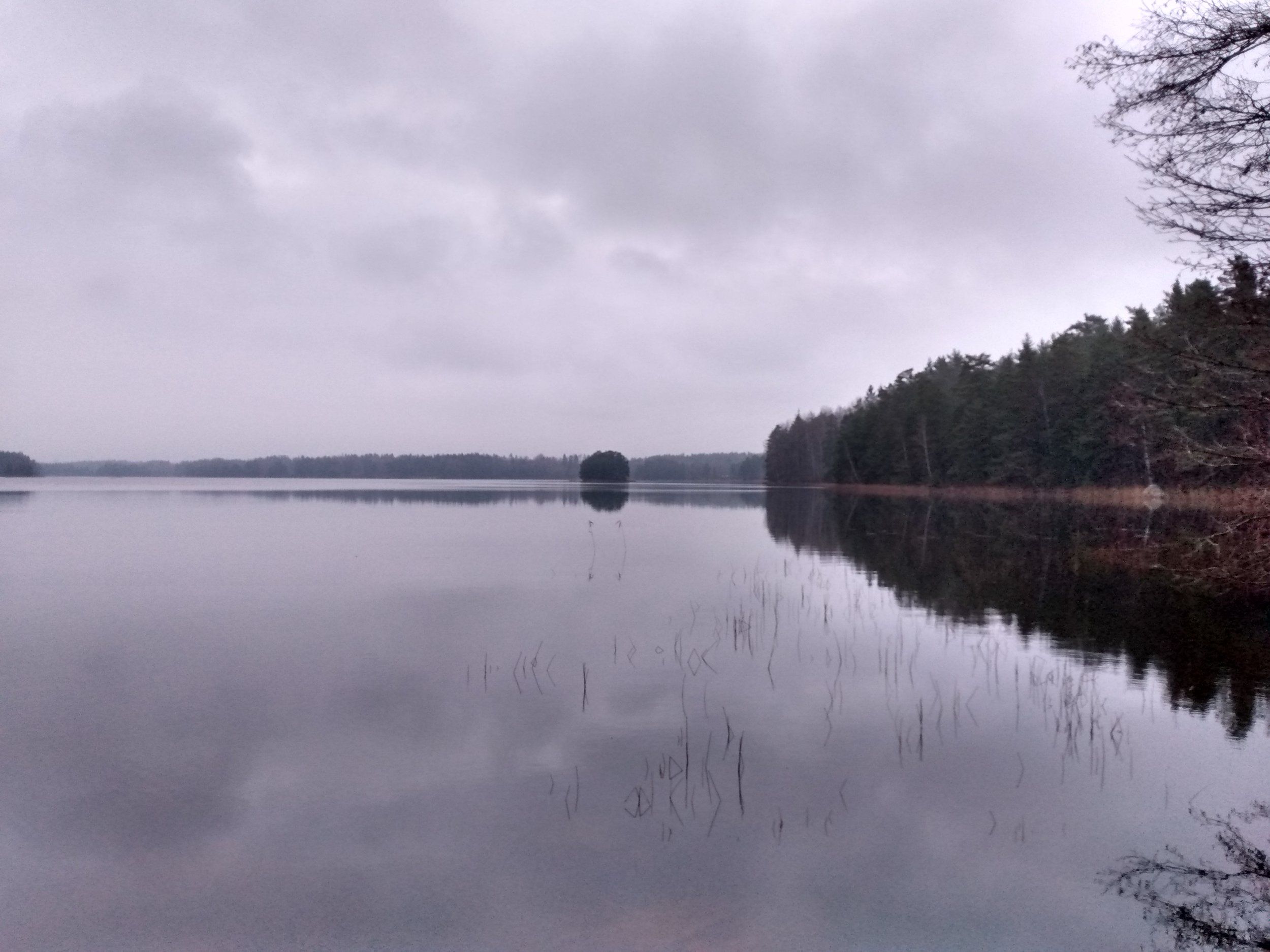 IMG_20201205_145316089_HDR.jpg