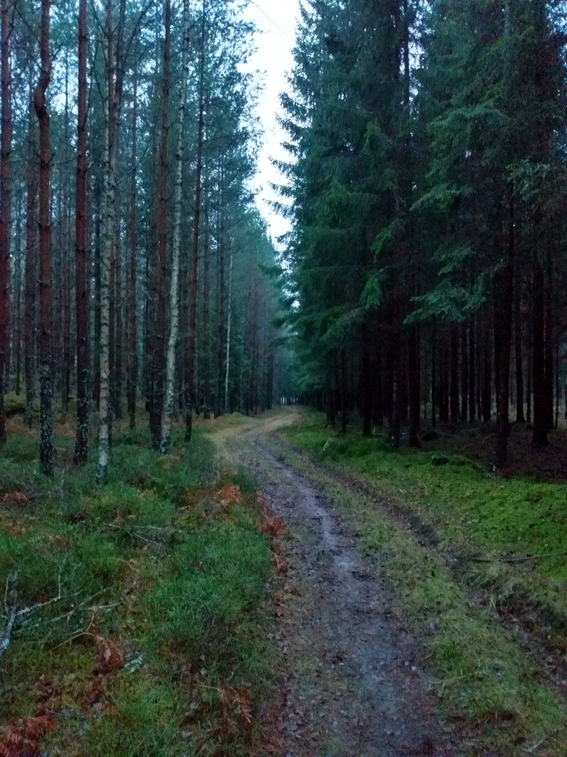 IMG_20201206_145754461_HDR.jpg