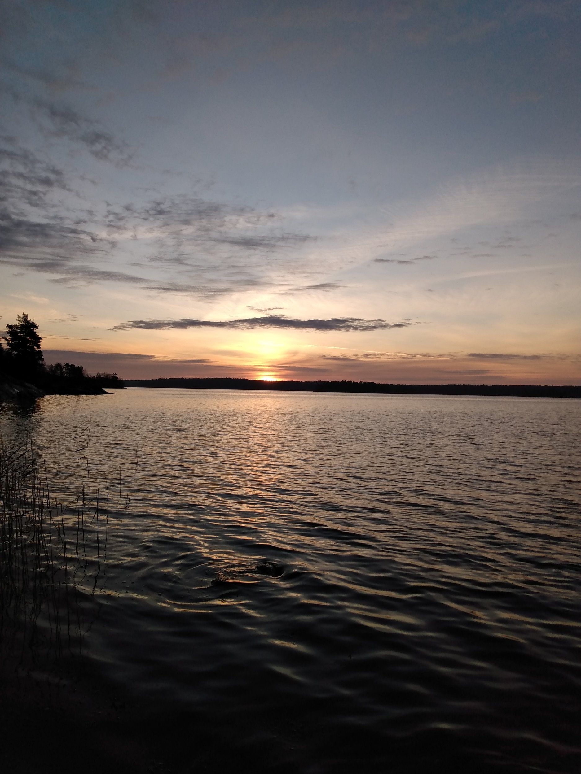 IMG_20201219_085033629.jpg