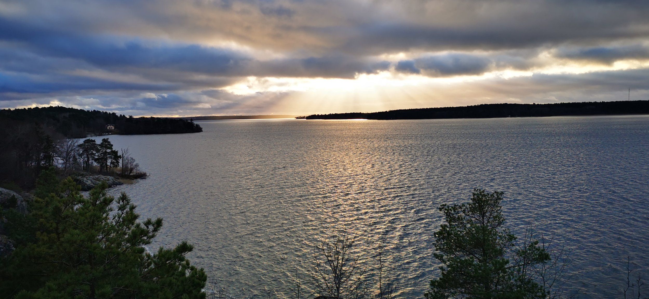 IMG_20201223_112253.jpg