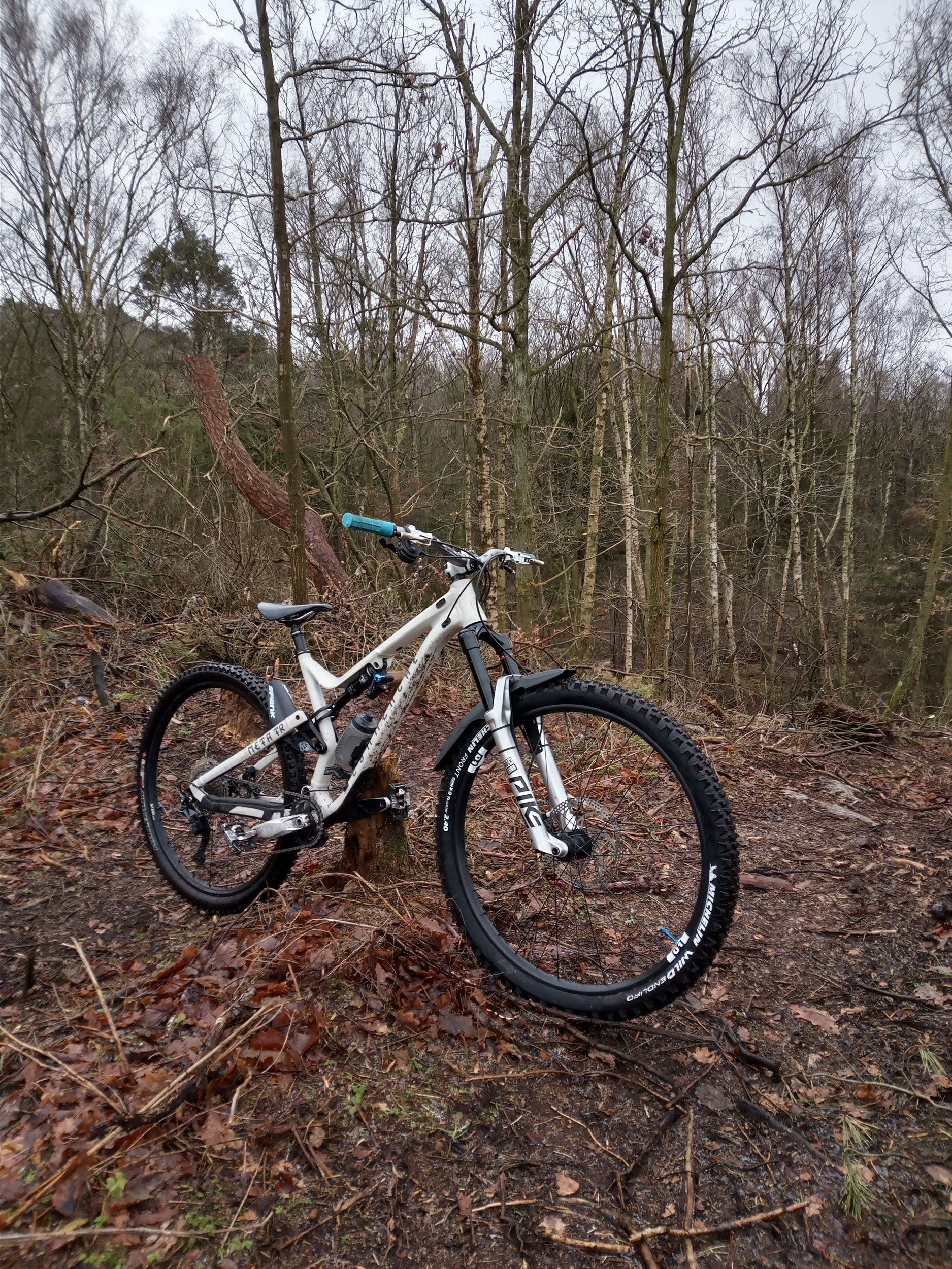 IMG_20201226_101735_133.jpg