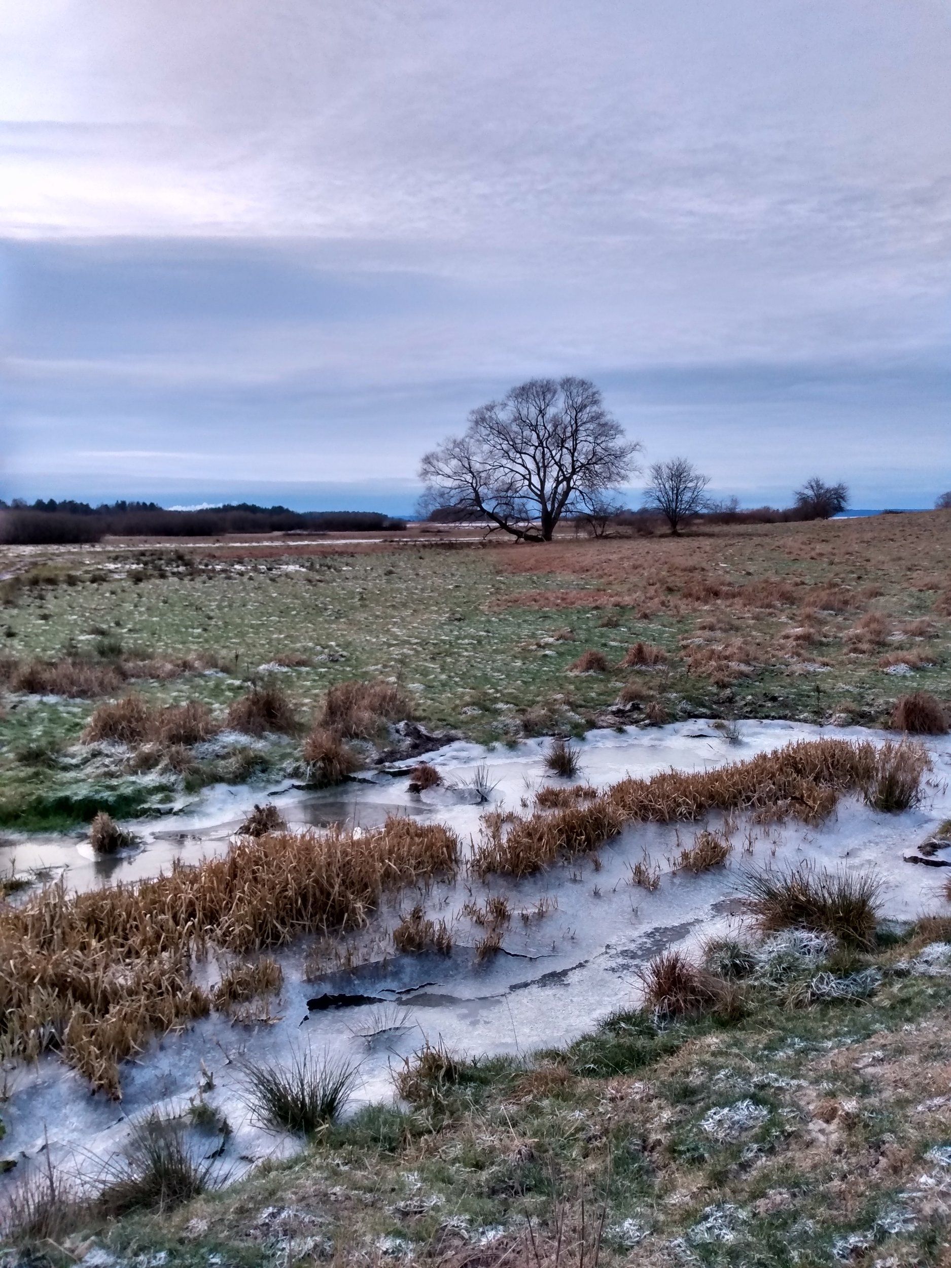 IMG_20201226_150103698_HDR.jpg
