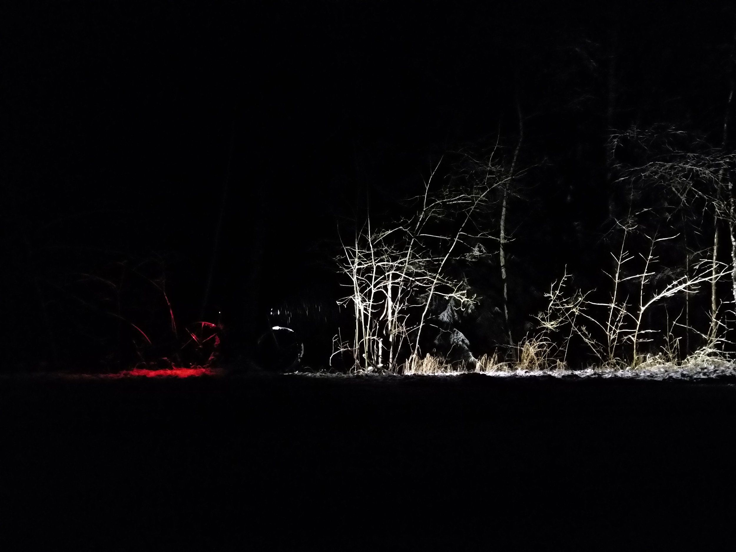 IMG_20201230_184102.jpg