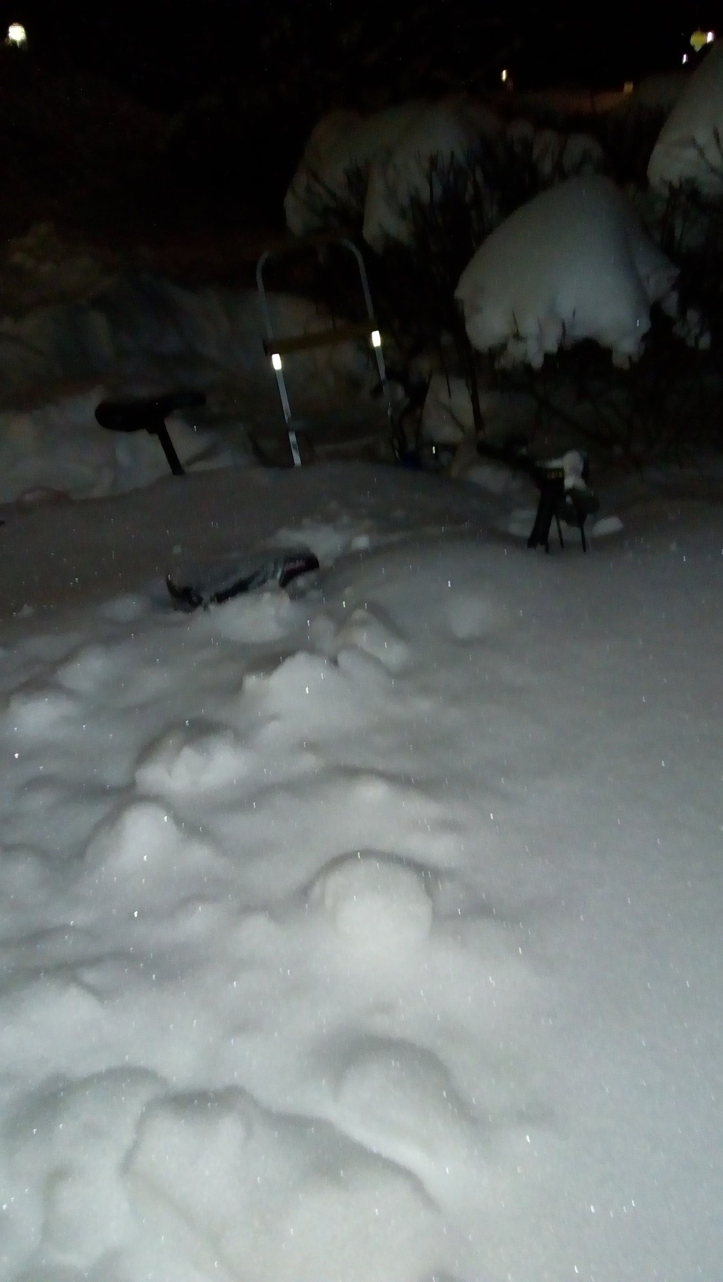IMG_20210114_161313932.jpg