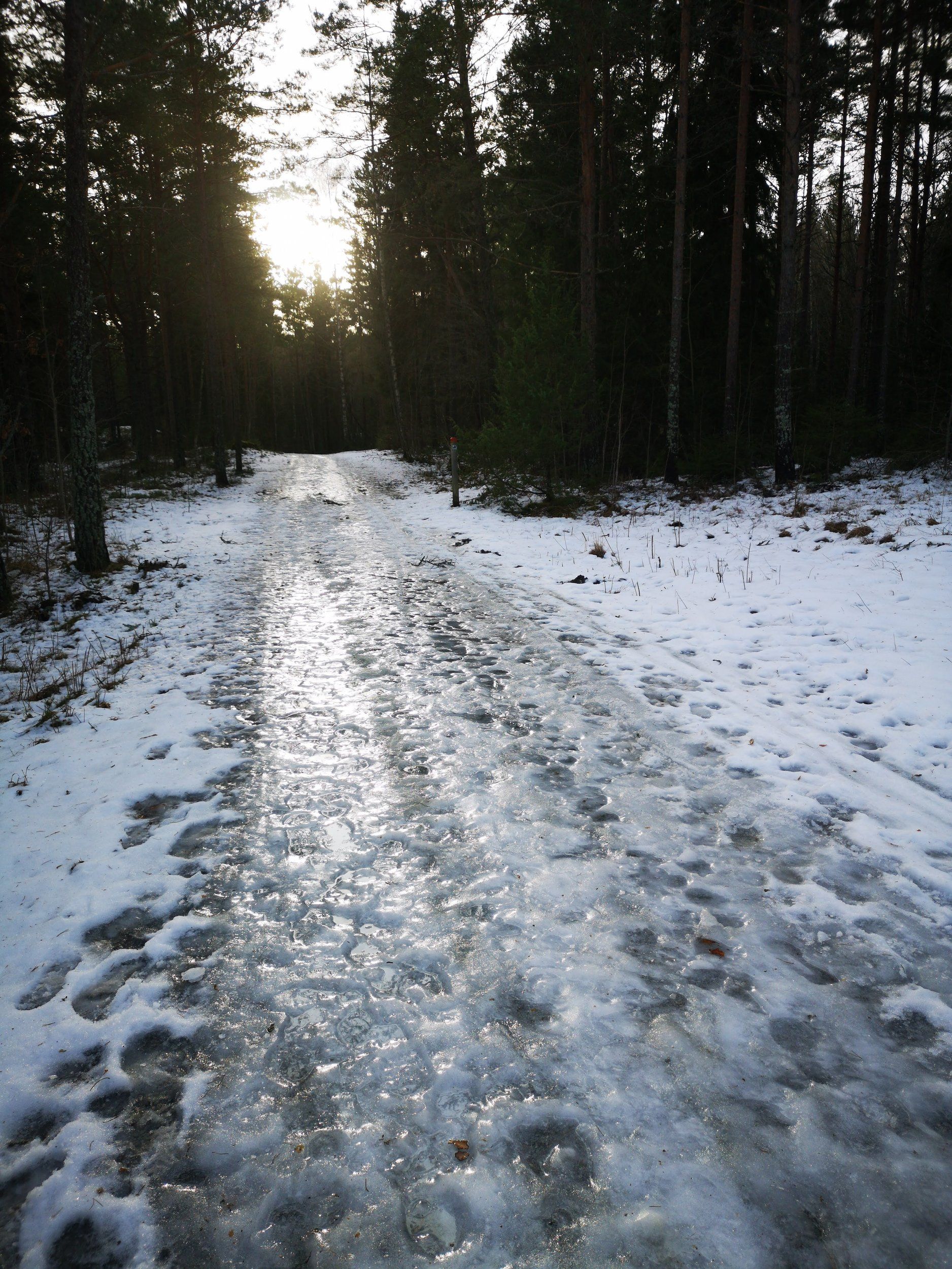 IMG_20210123_114124.jpg