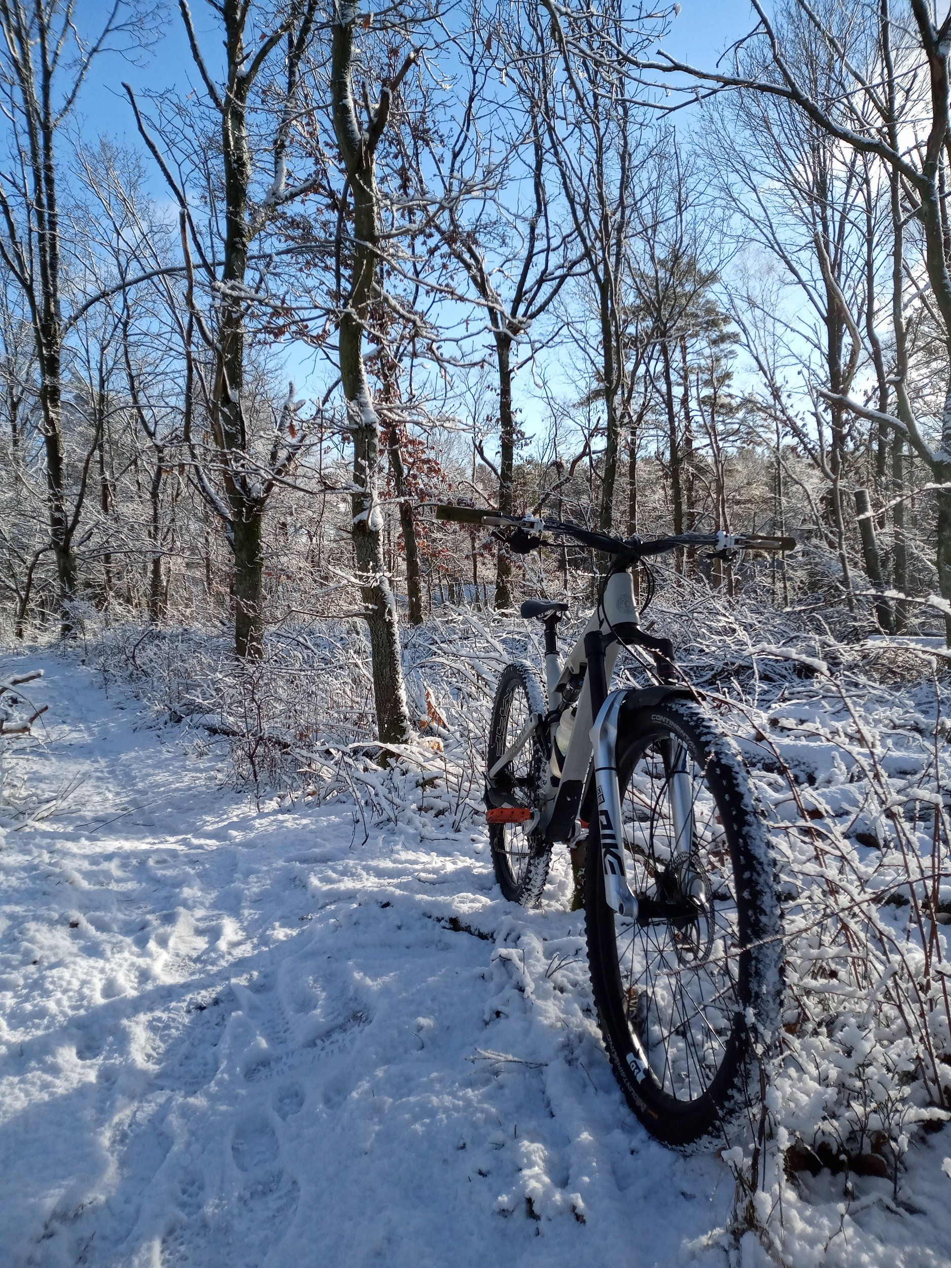 IMG_20210128_124934_089.jpg