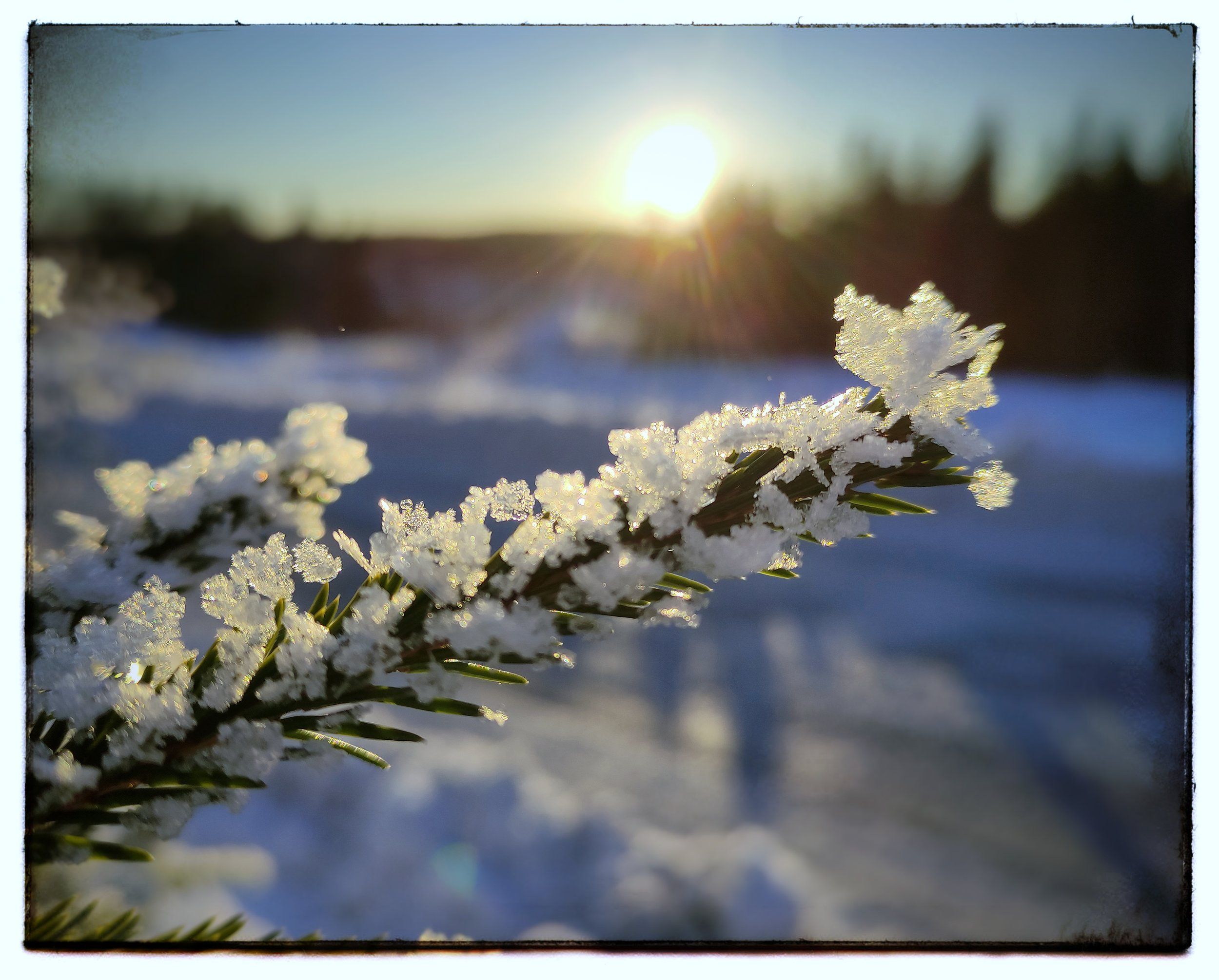 IMG_20210129_151750-01.jpeg