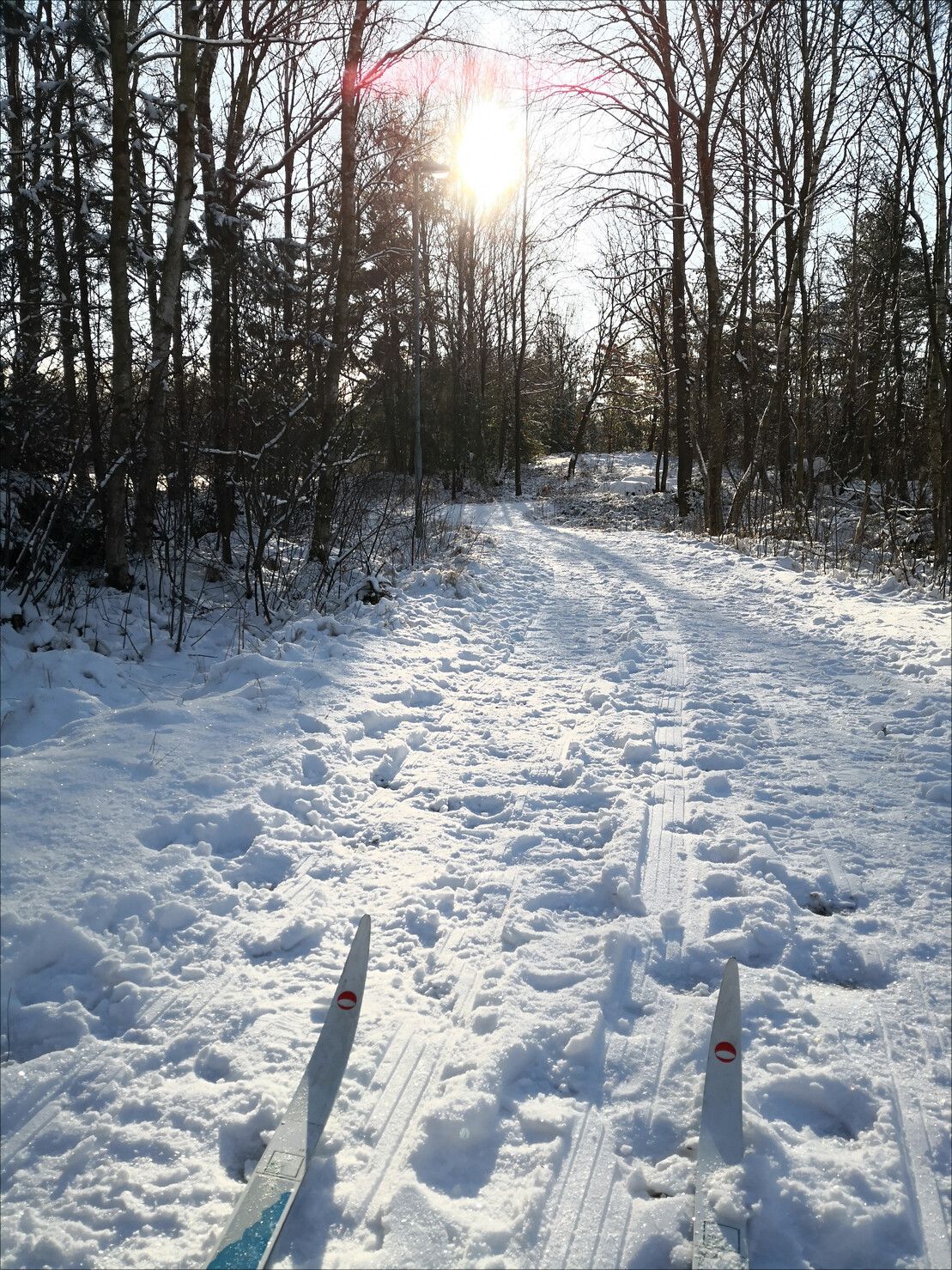 IMG_20210204_115100.jpg