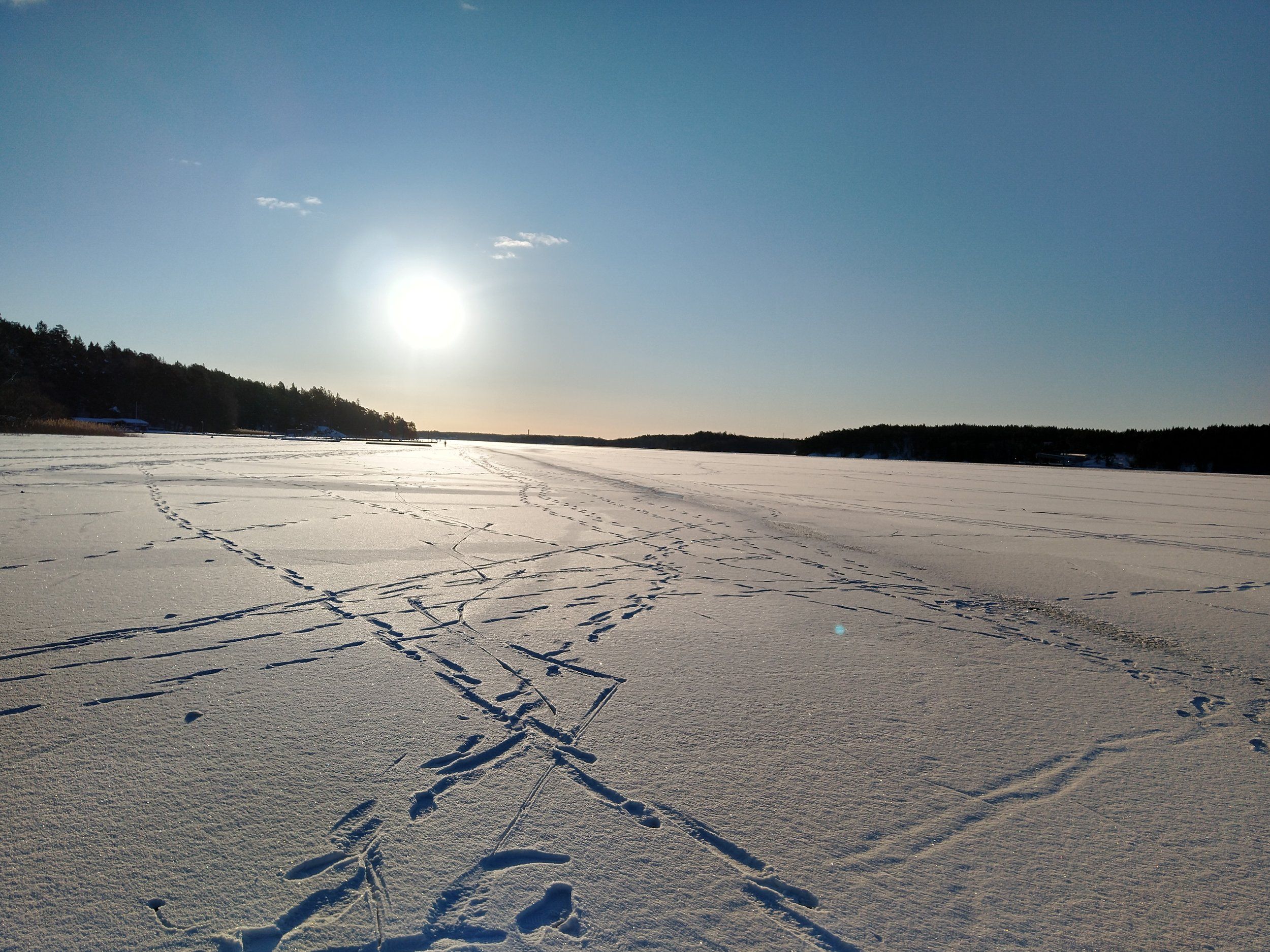 IMG_20210213_084503558_HDR.jpg