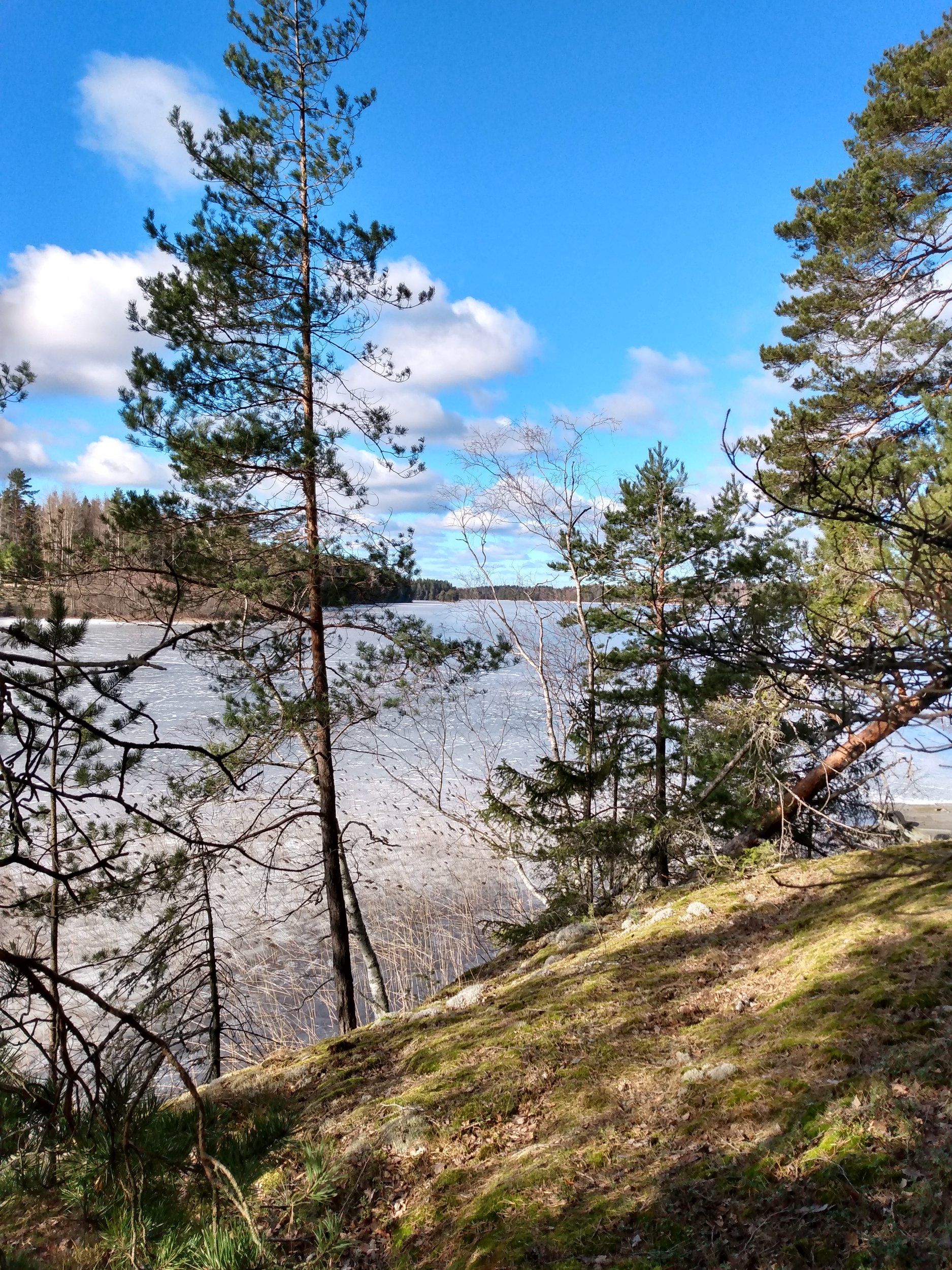 IMG_20210304_124950934_HDR.jpg